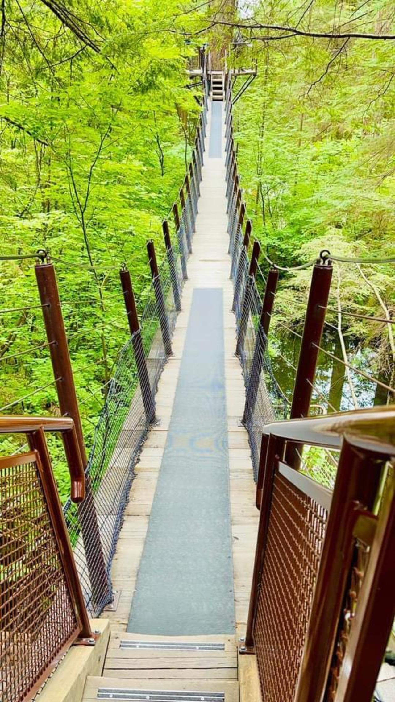 Vancouver Private Highlights: Capilano, FlyOver & City Tour
