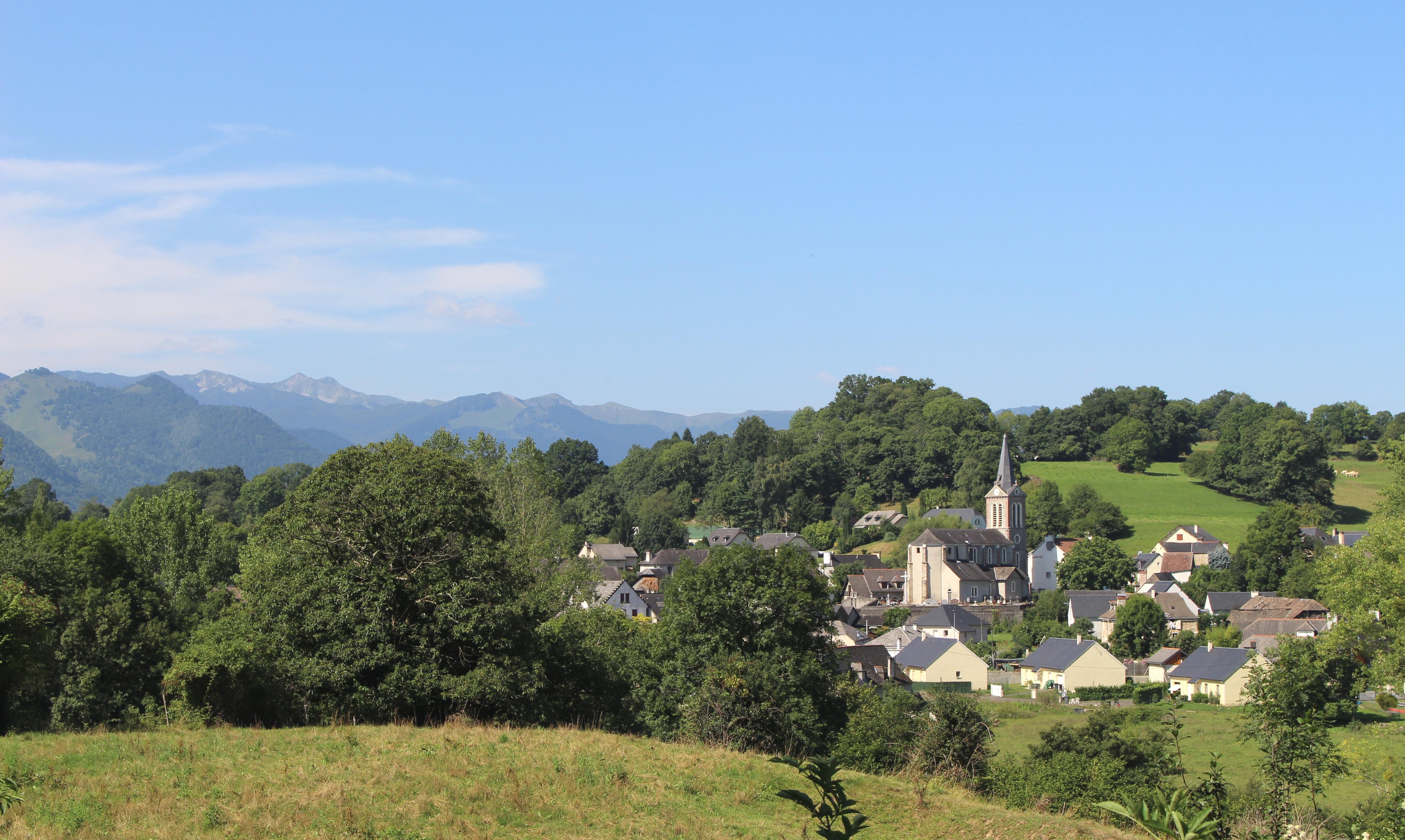 Bartrès Nature Walk with Pyrenean Mountain Dog