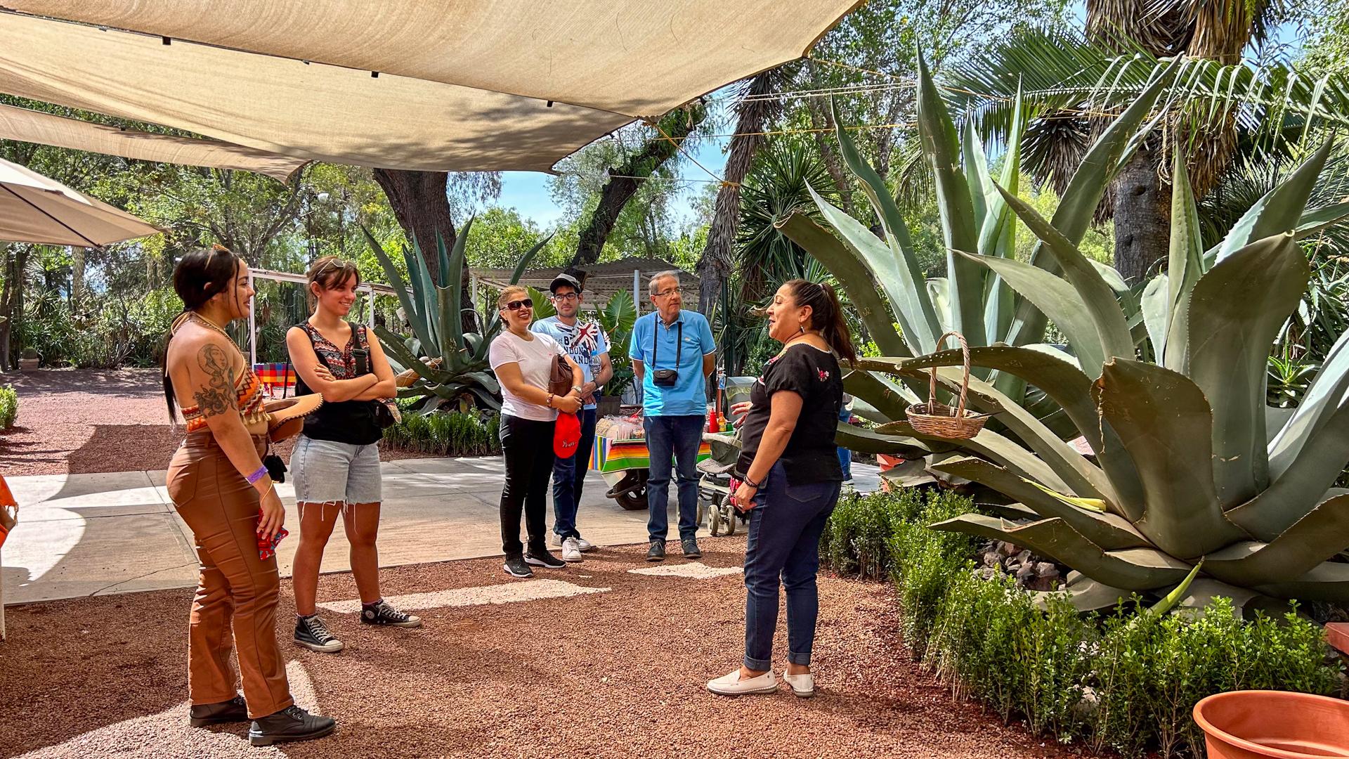 Mexico City: Teotihuacan, Tlatelolco & Basilica of Guadalupe Day Trip