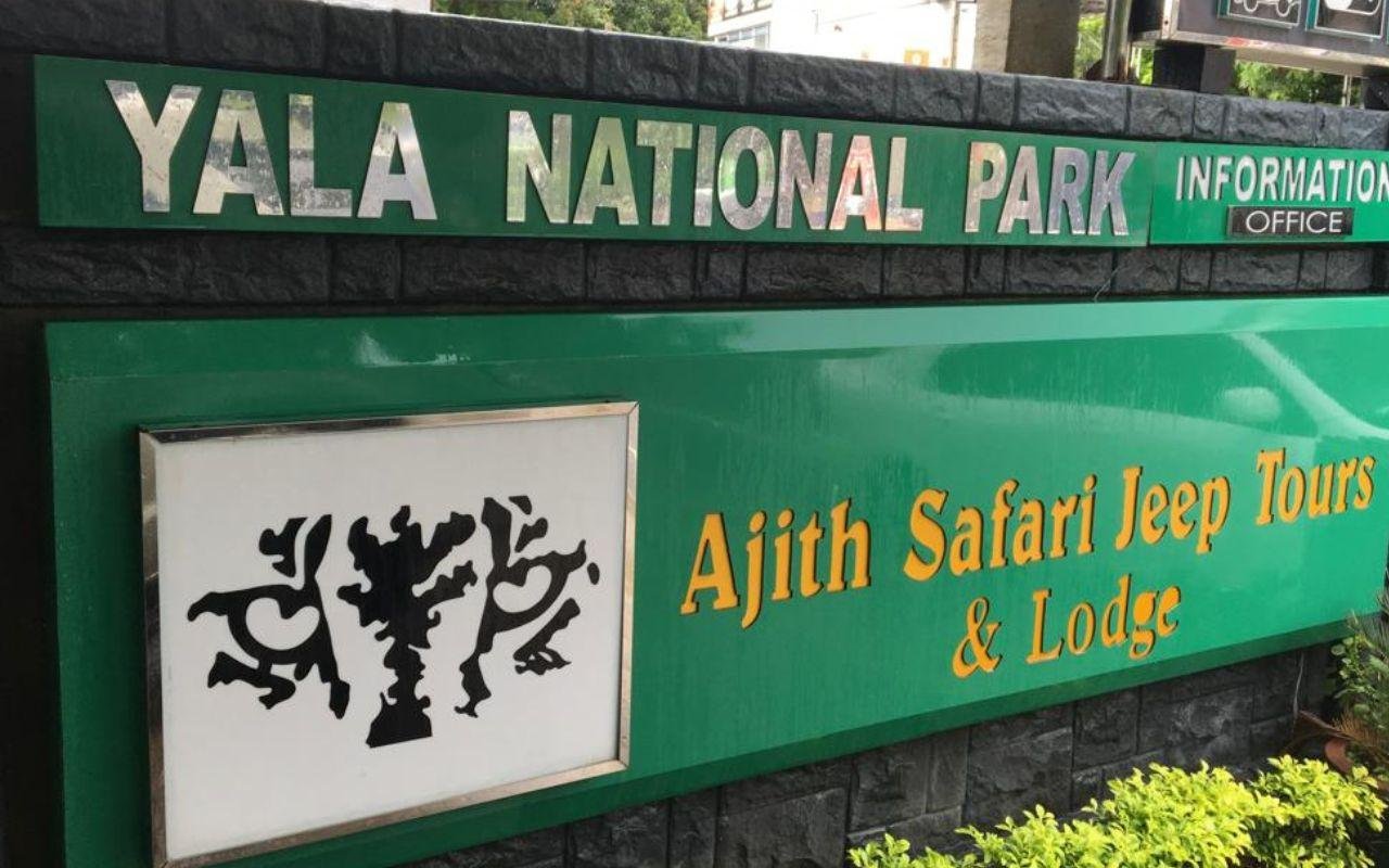 Yala National Park Leopard Safari with Skip-the-Line Entry