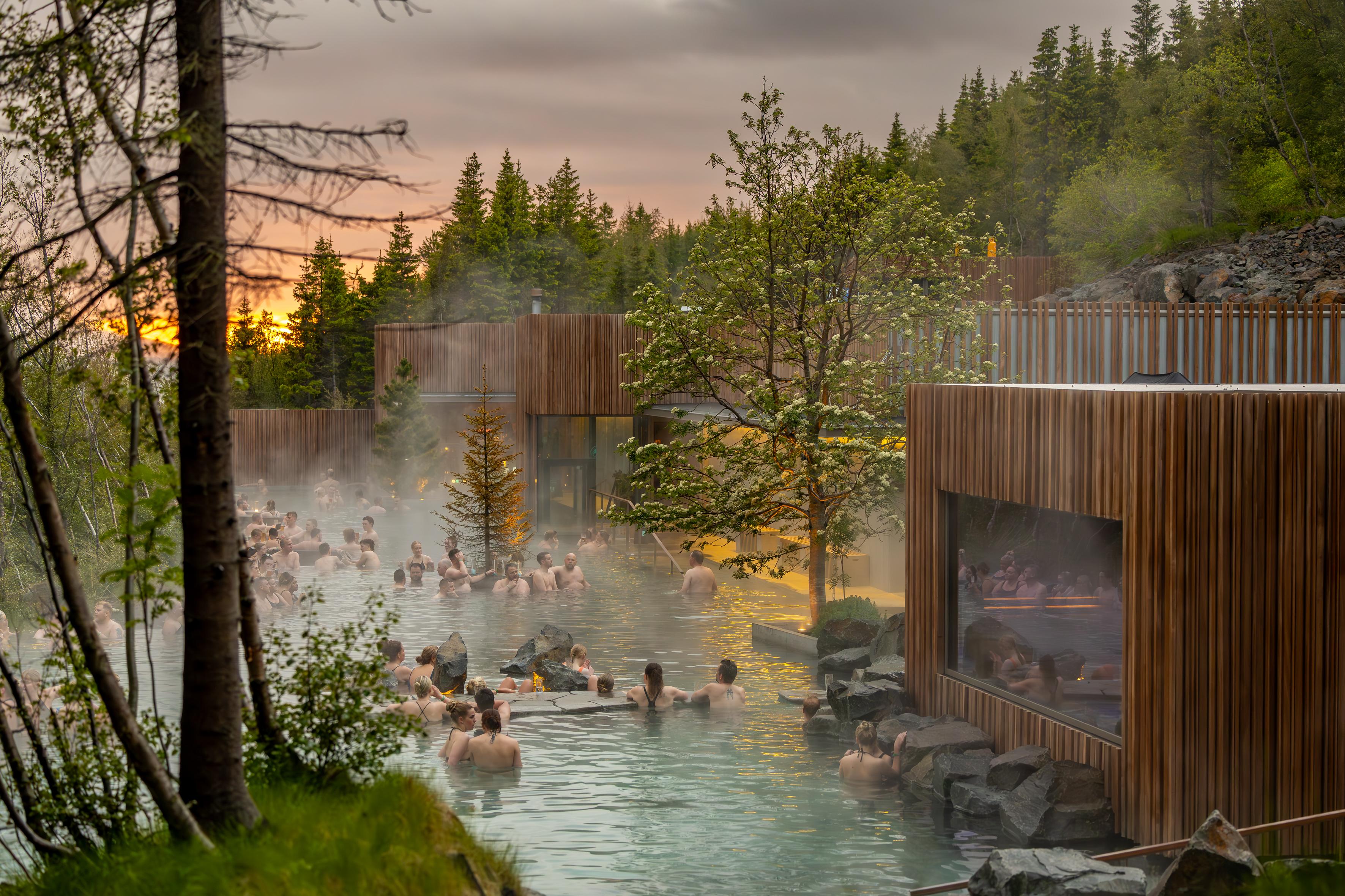 Goðafoss Waterfall & Forest Lagoon Small Group Experience