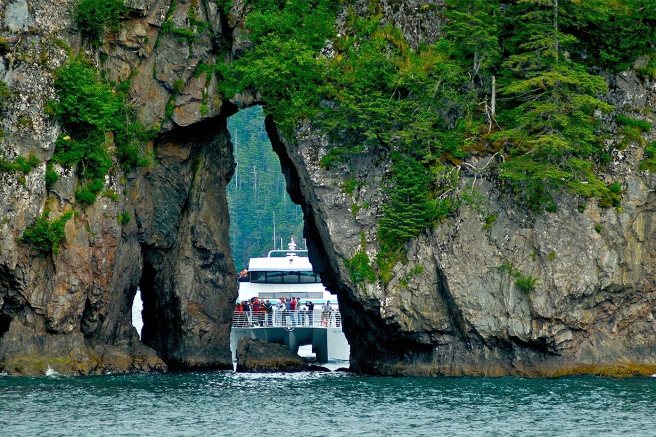 Seward: Captain's Choice Kenai Fjords National Park Tour