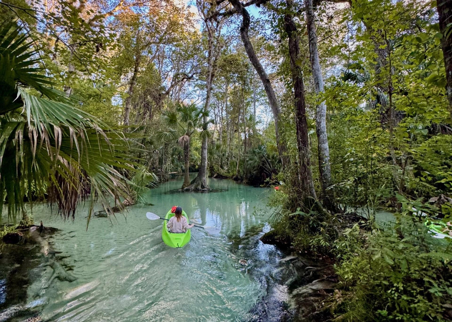Rock Springs Run Clear Kayak Tour