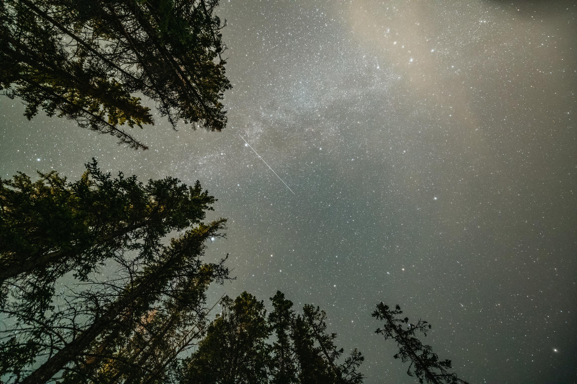 The Banff Stargazing Tour