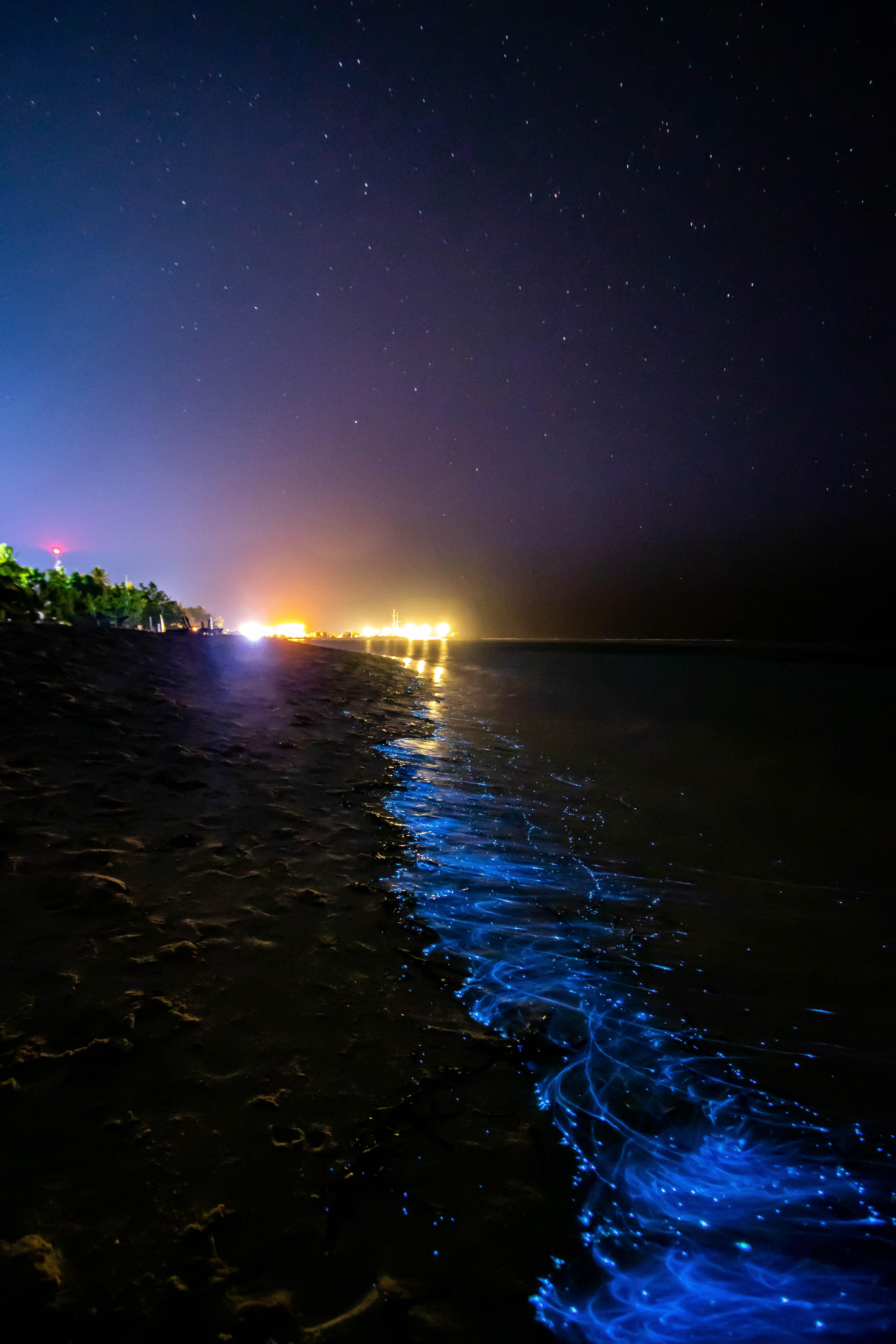 Krabi Hong Island Sunset & Bioluminescent Plankton Tour with BBQ Dinner