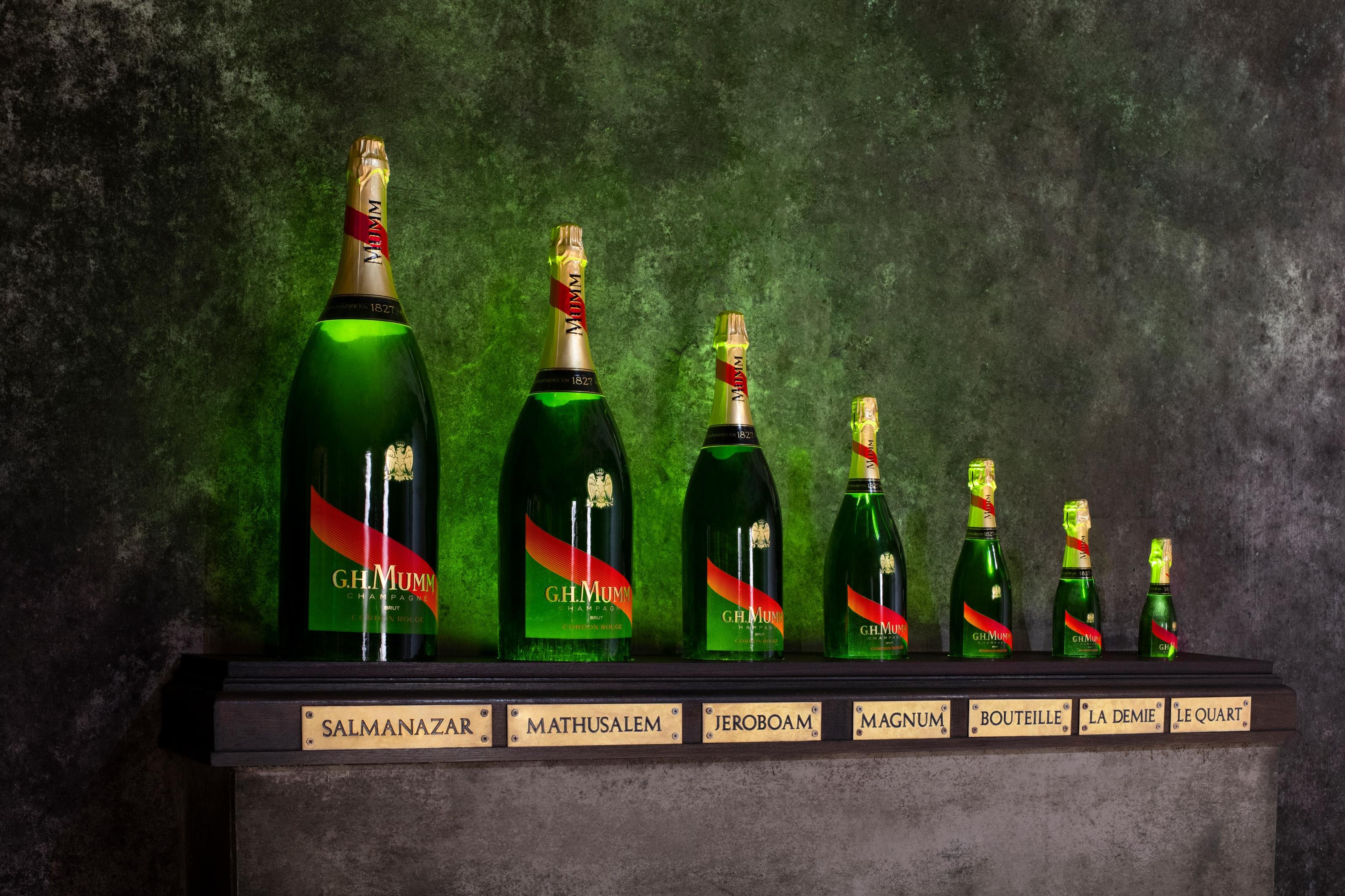 Mumm Champagne tour — Reims, 25 km chalk crayères, Verzenay grand cru Pinot Noir vineyards — image 6