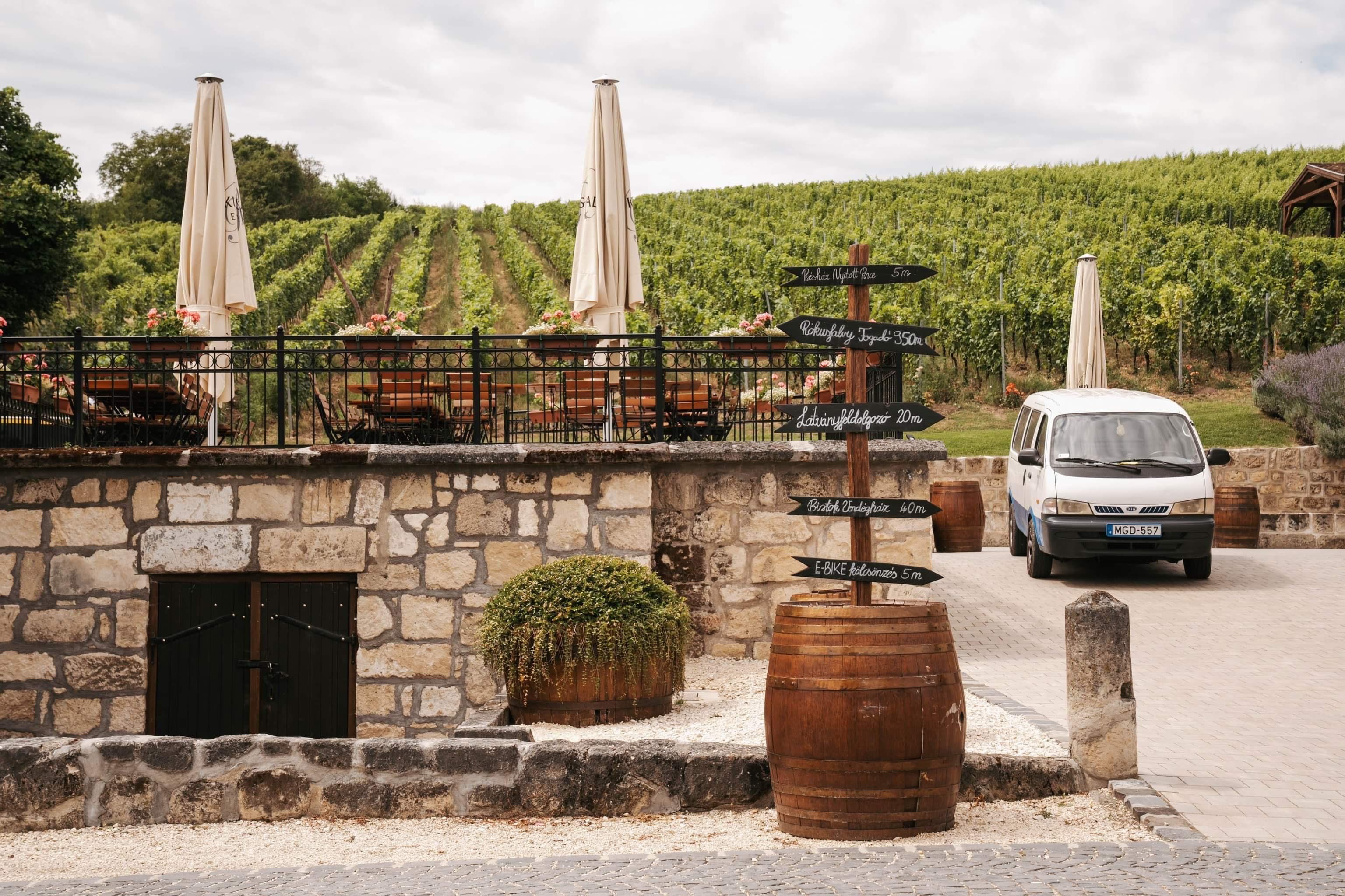 Wine Tasting & Cellar Tour at Rókusfalvy Estate
