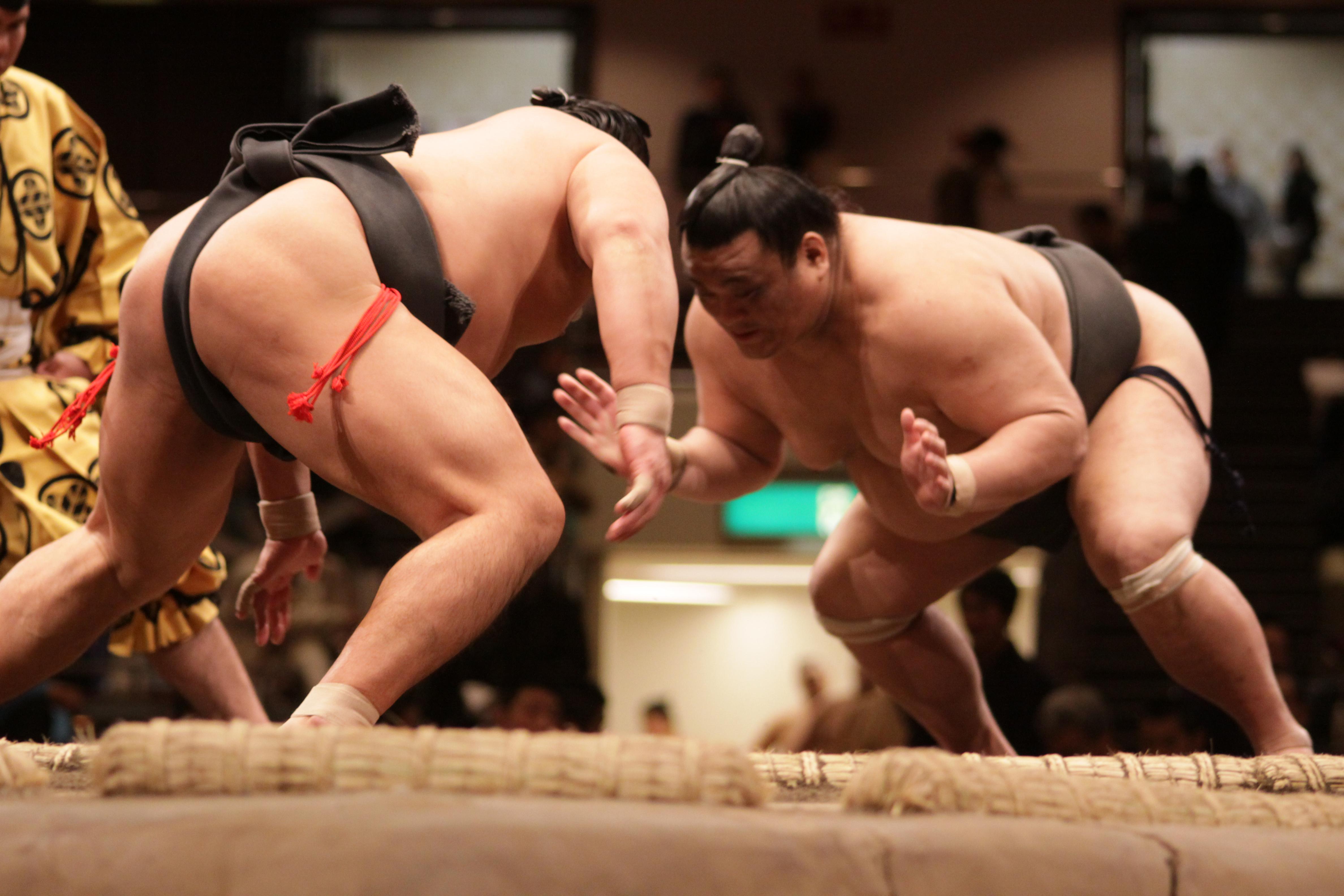 Tokyo Sumo Wrestling Tournament with Chair A-Seats & Expert Guide