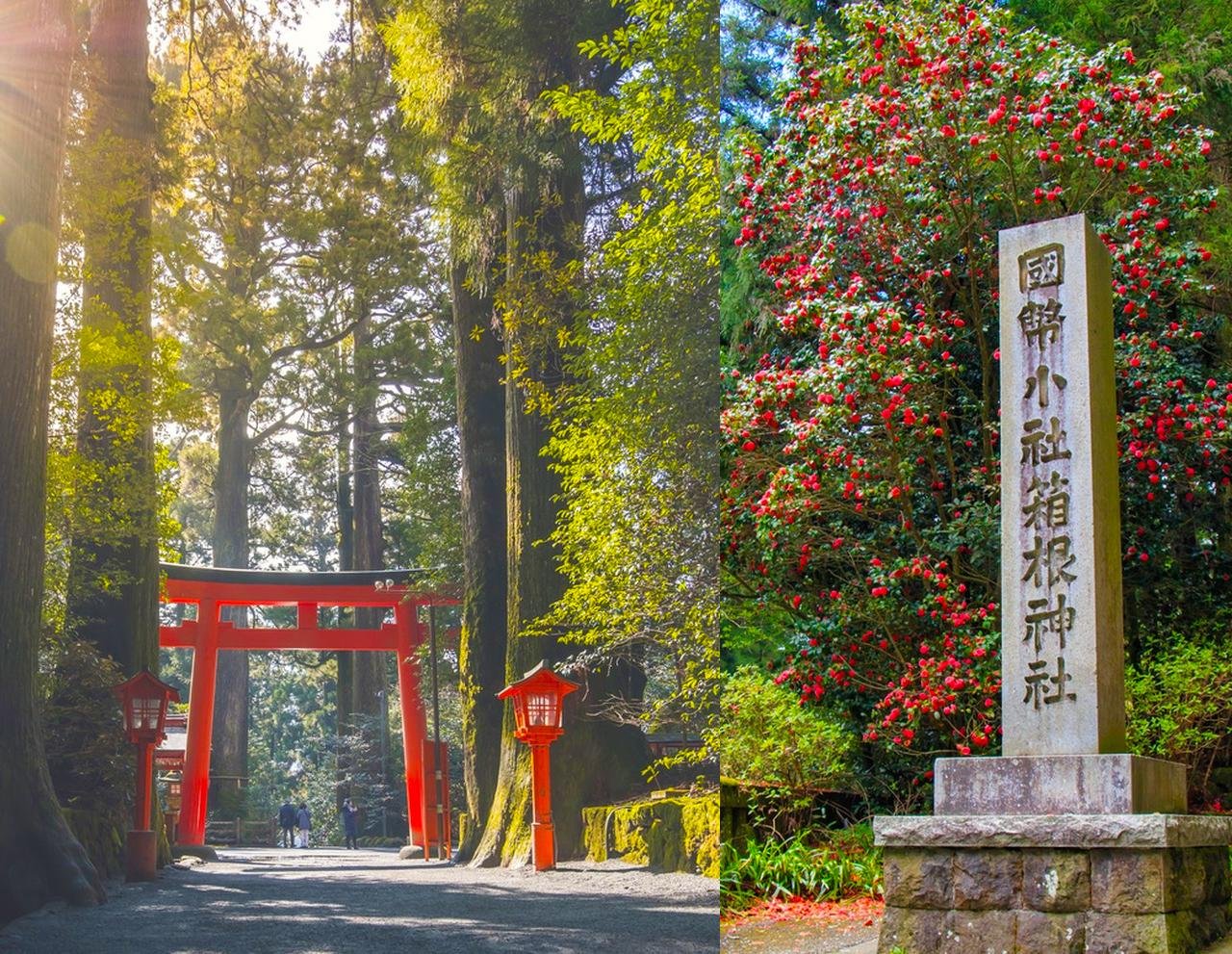 Mount Fuji & Hakone Day Adventure