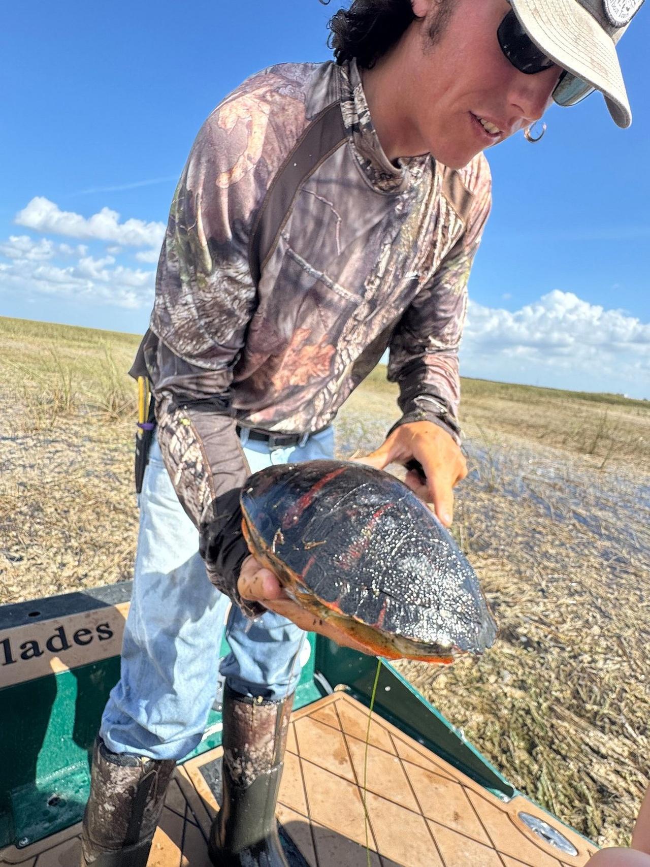 Everglades: Semi-Private or Private Airboat Tour