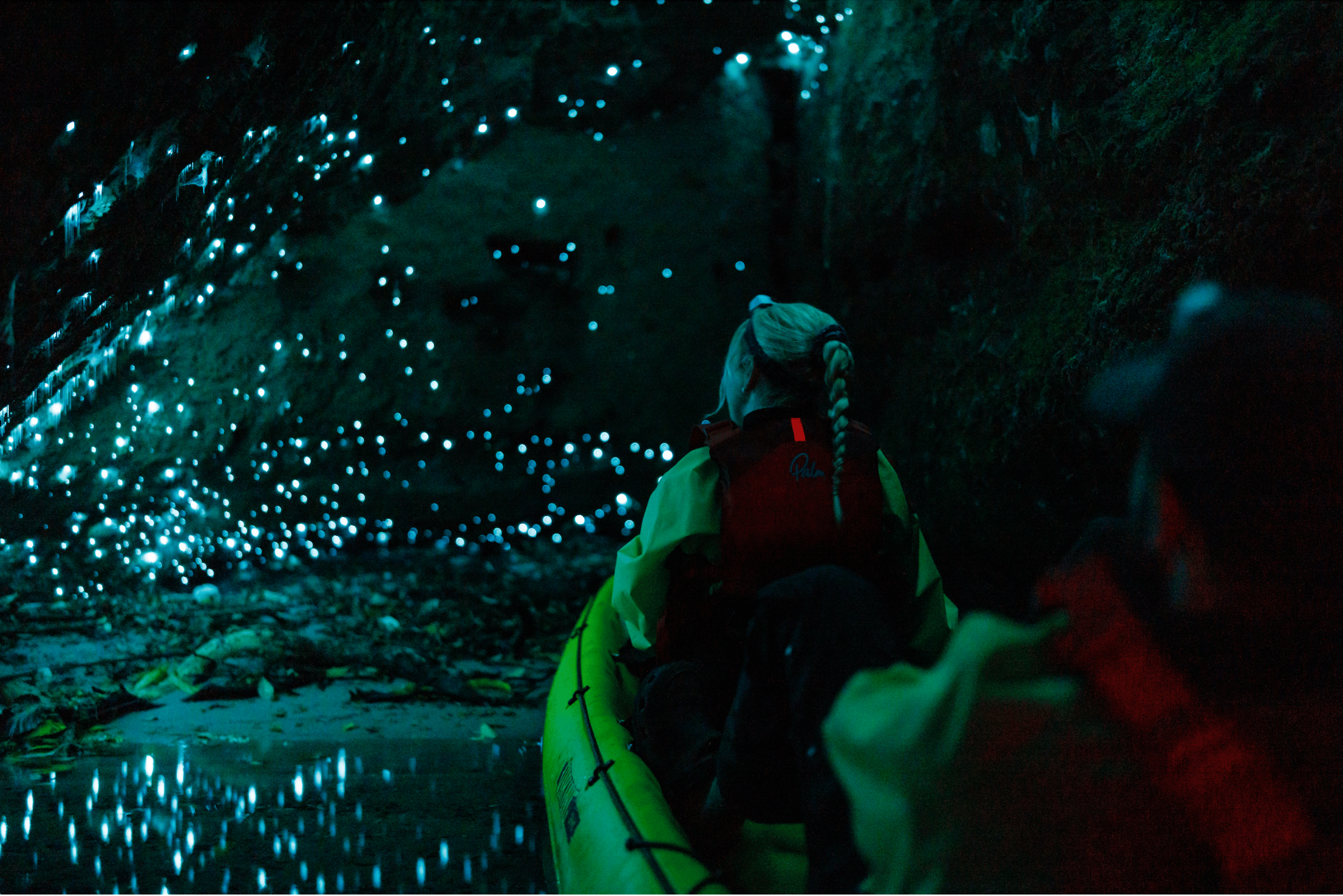 Rotorua Glow Worm Night Kayak Tour