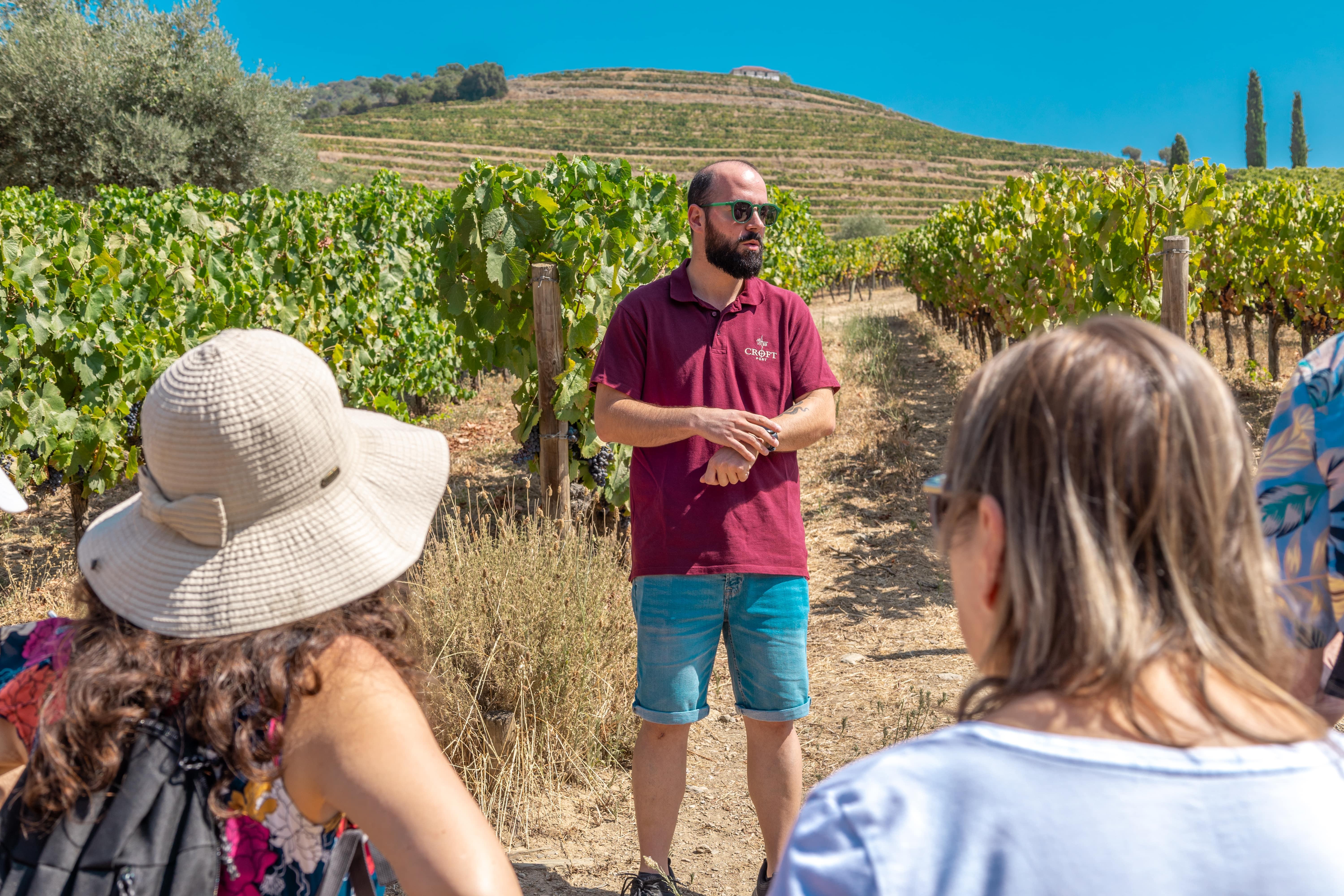 Douro Valley Wine Tour with River Cruise from Porto