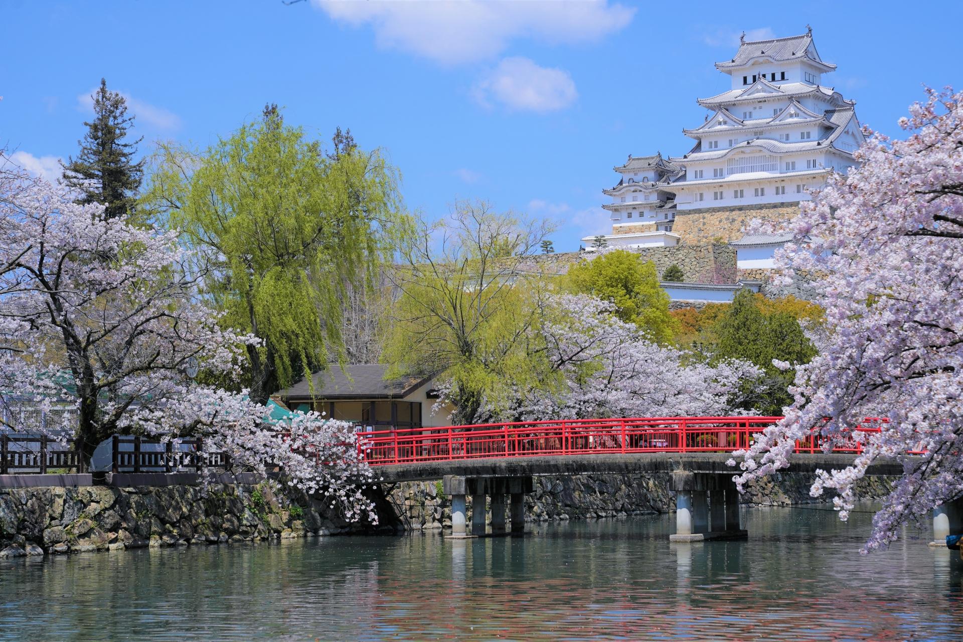 From Osaka: Himeji Castle, Arima Onsen & Mt. Rokko Day Tour - 2026 (Verified Reviews)