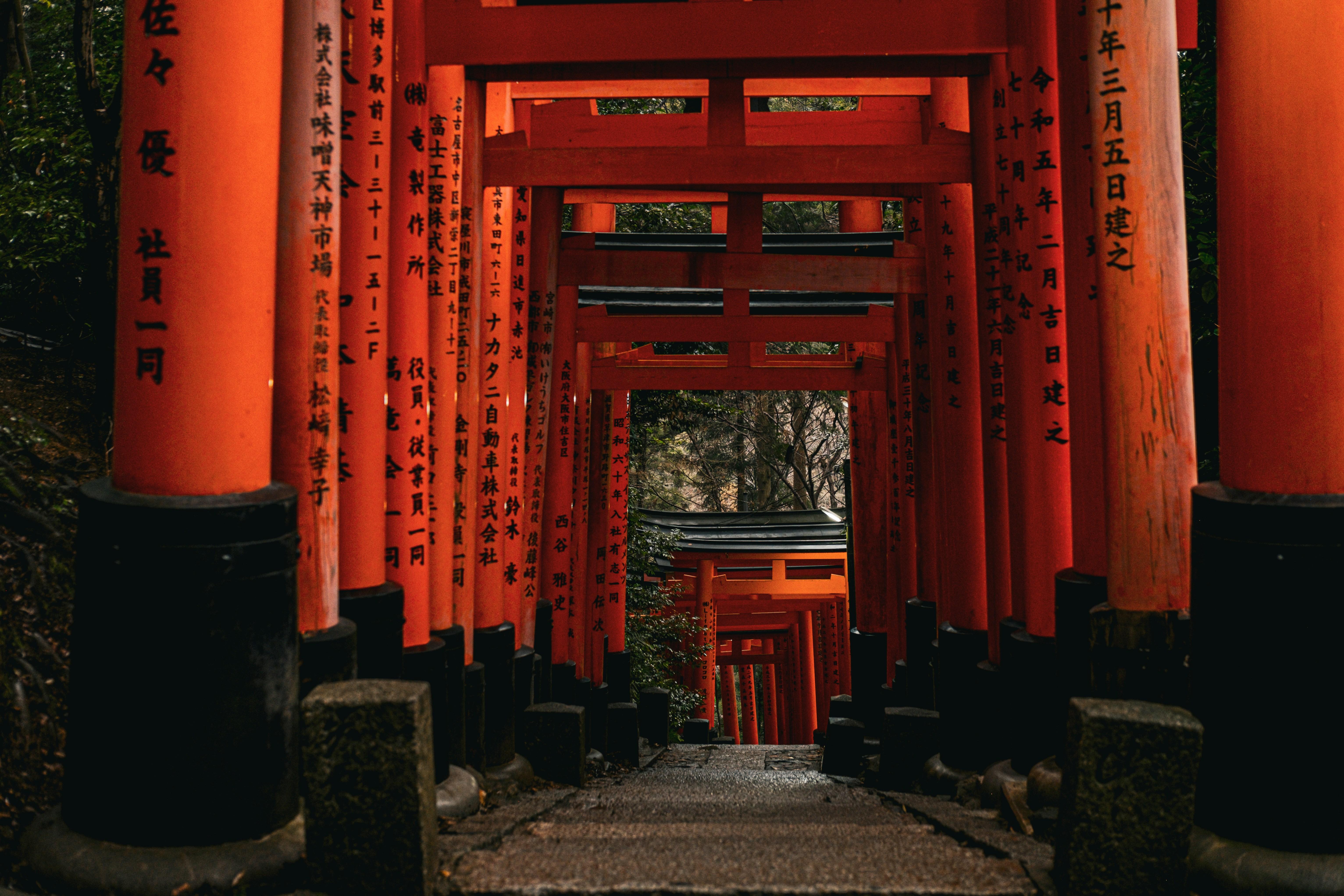 Kyoto Early Bird: Fushimi Inari, Nijo Castle & Kinkaku-ji