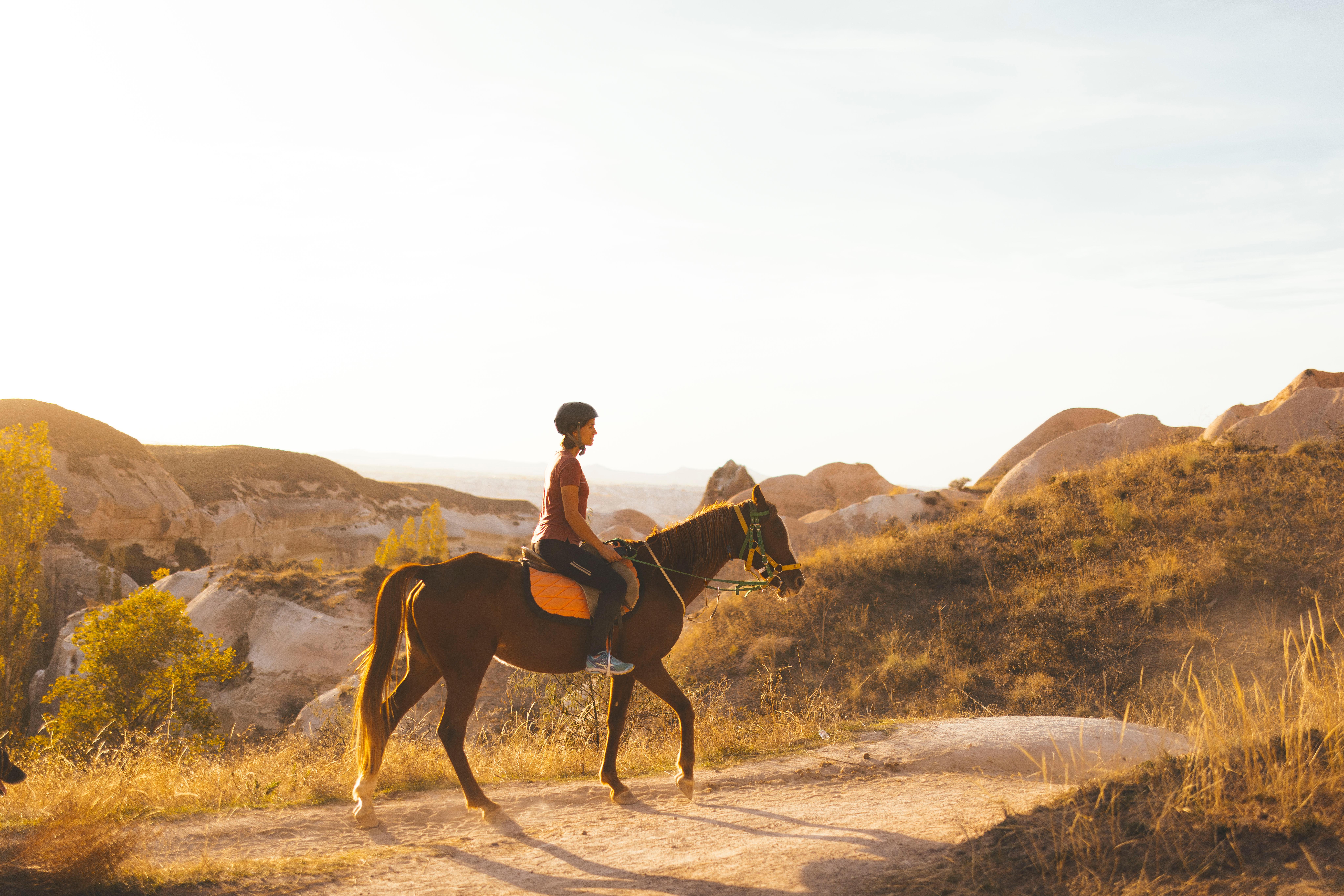Cappadocia Scenic Horseback Riding Adventure