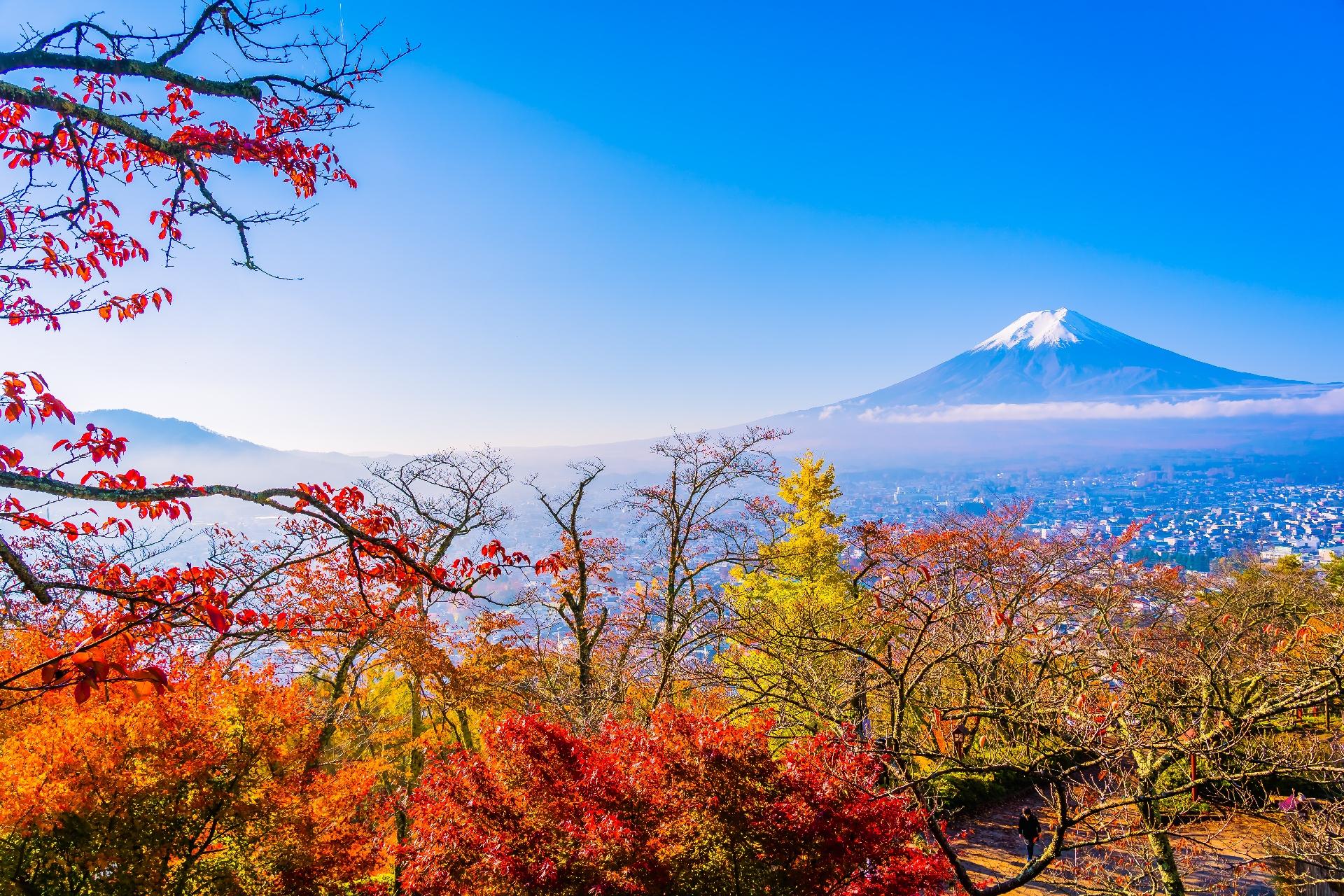 Mt Fuji day trip from Tokyo — image 21