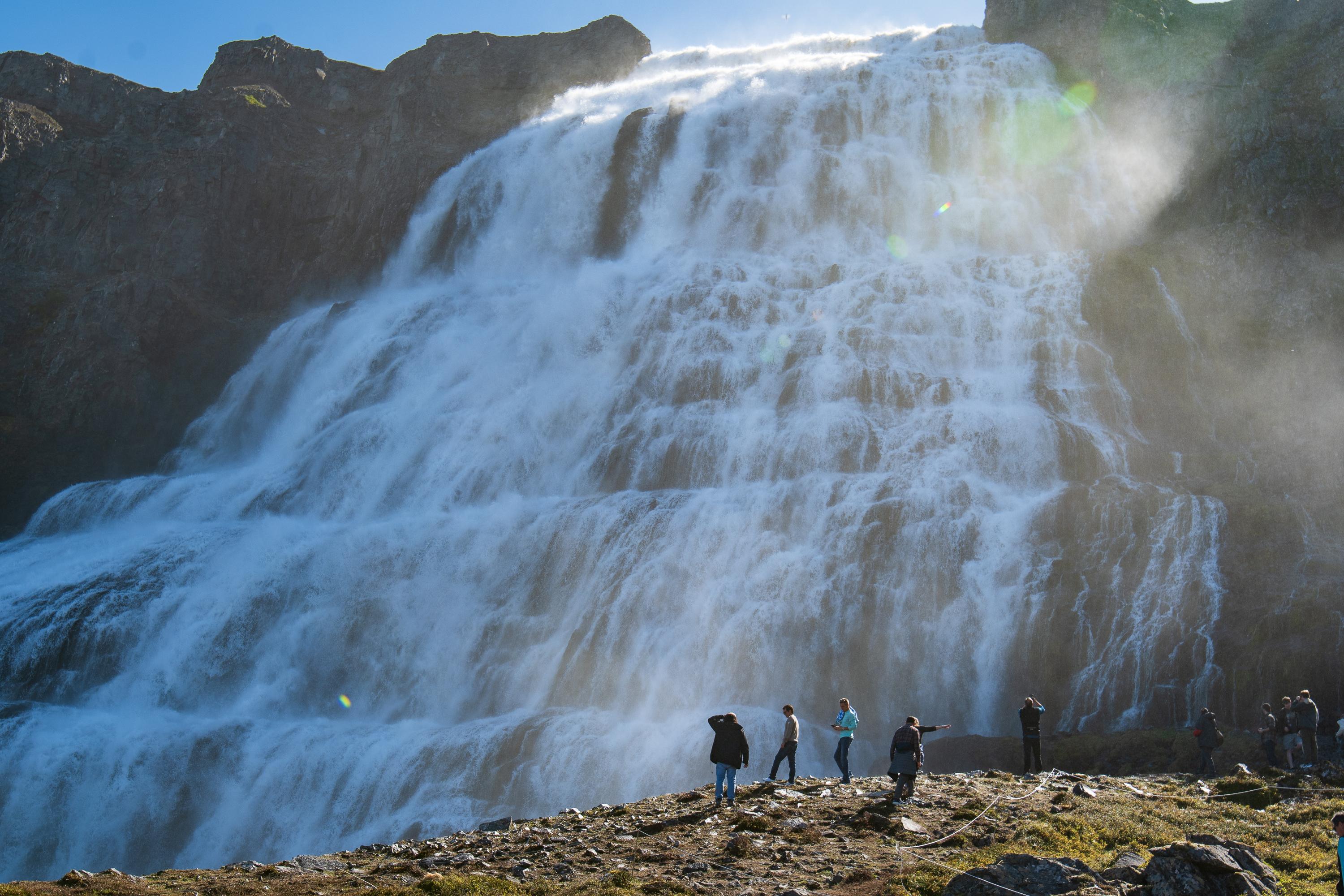 Dynjandi Waterfall & Icelandic Horse Farm Tour from Isafjordur