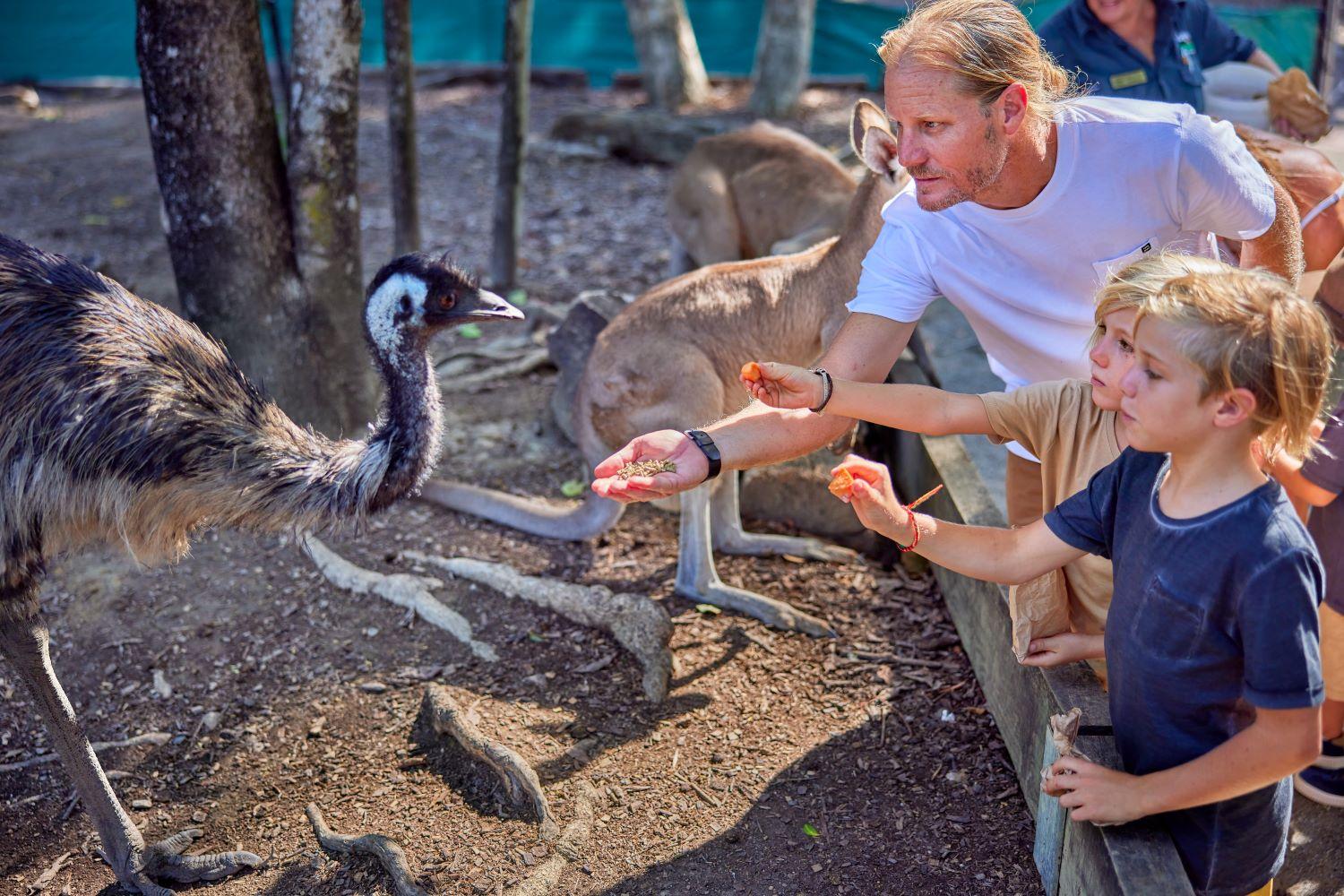 Breakfast with Birds and Koalas at Wildlife Habitat