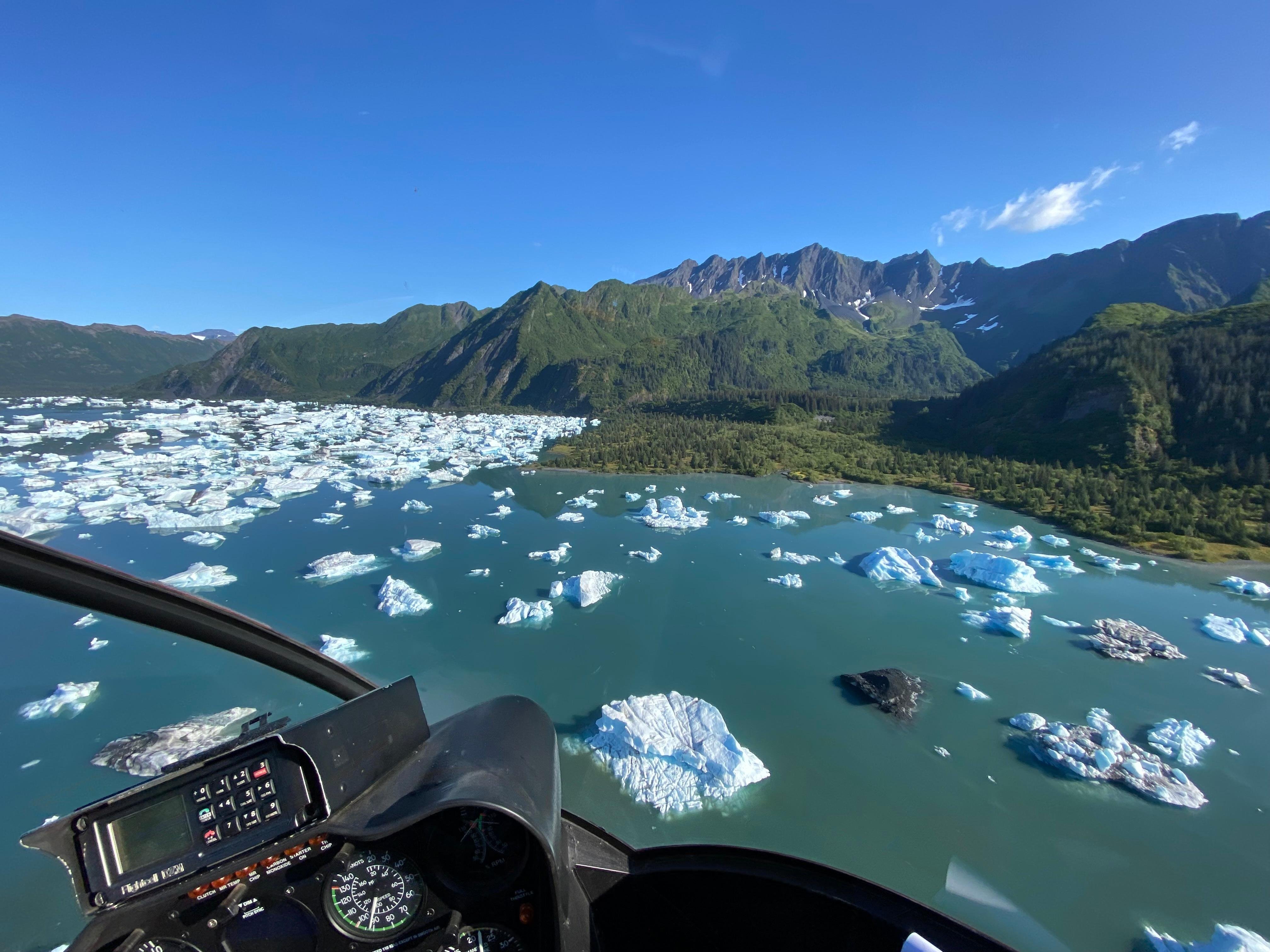 Seward: Bear Glacier Scenic Flight with Icebergs