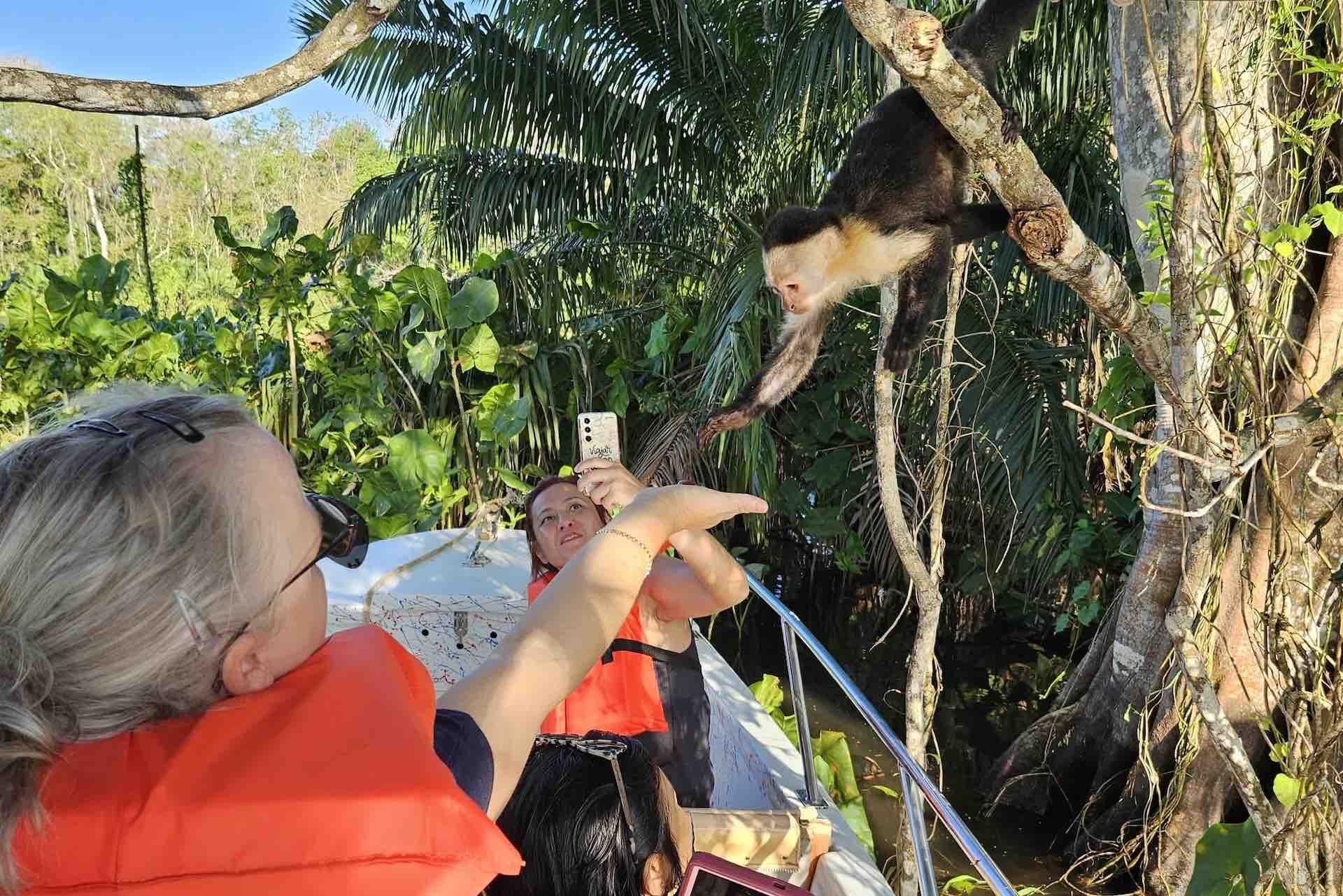 Panama Canal, Monkey Island & Sloth Sanctuary Expedition