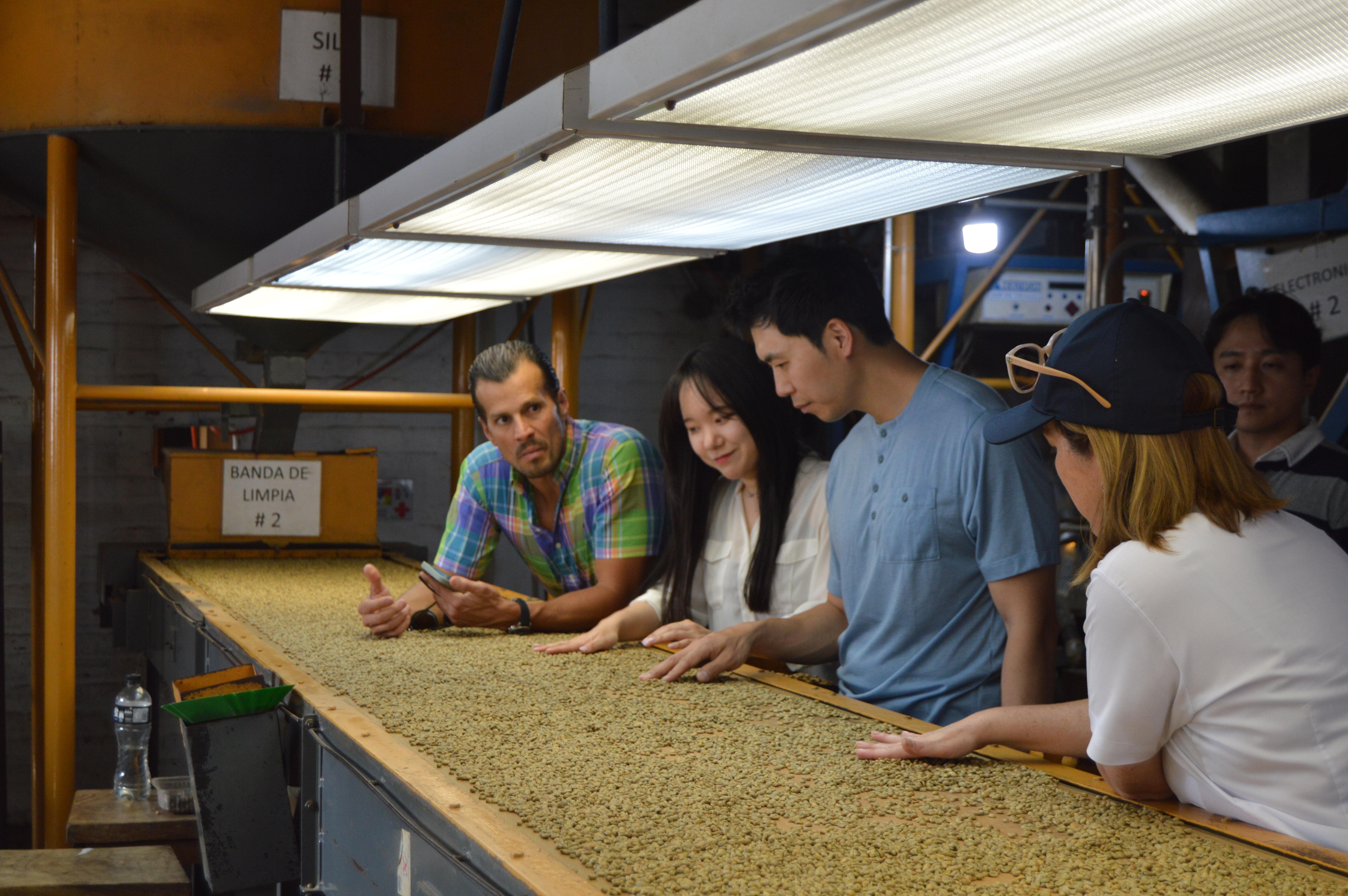 Salvadoran Specialty Coffee Journey with Mill Tour & Cupping