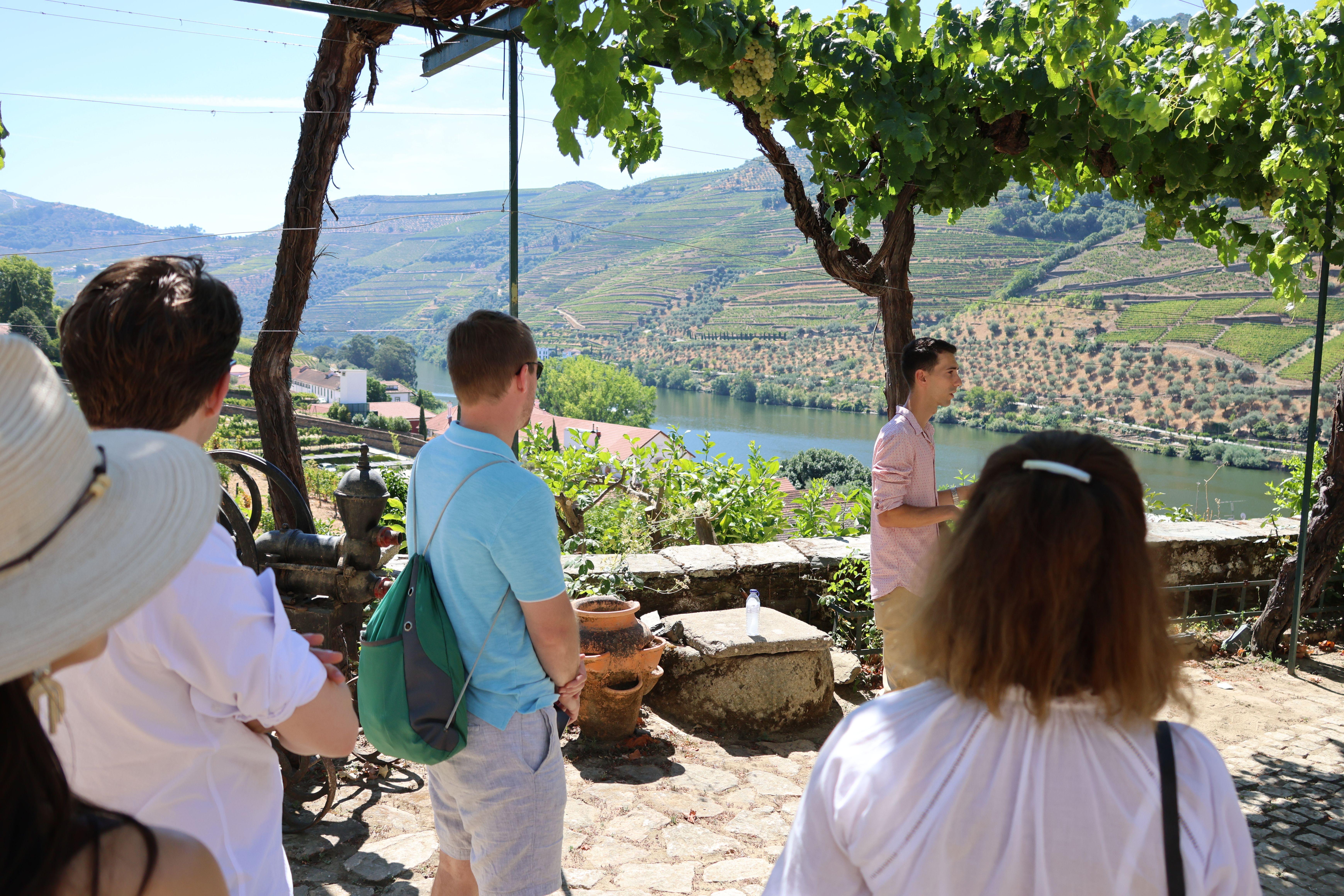 Douro Valley Wine & Cruise Day Trip from Porto