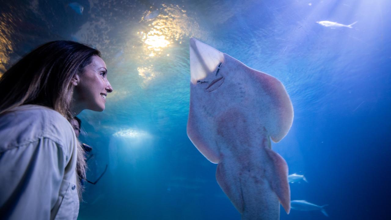 Valencia Oceanogràfic Entry Ticket