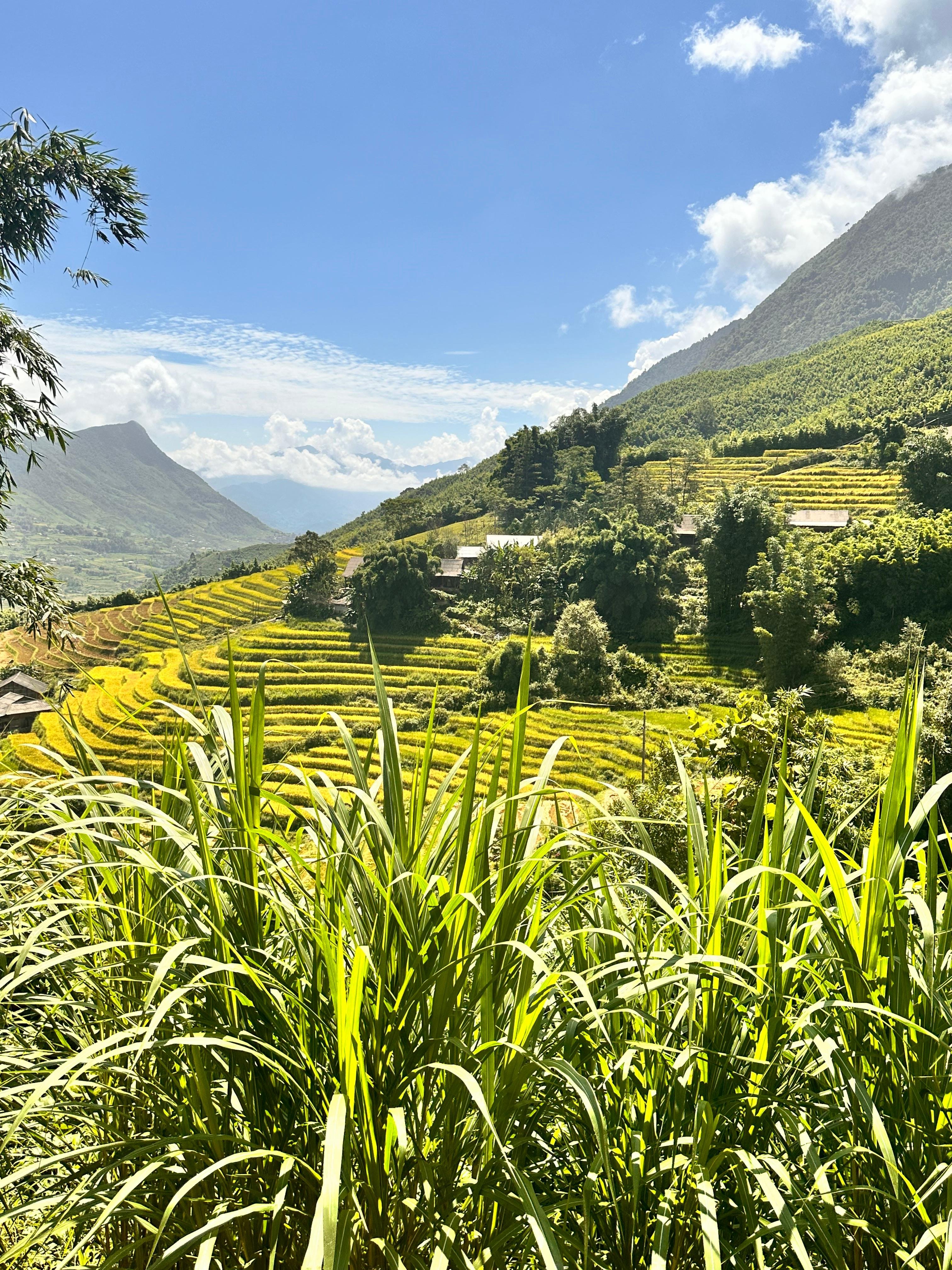 Sapa 2-day trek — Muong Hoa Valley rice terraces and ethnic-minority villages — image 38