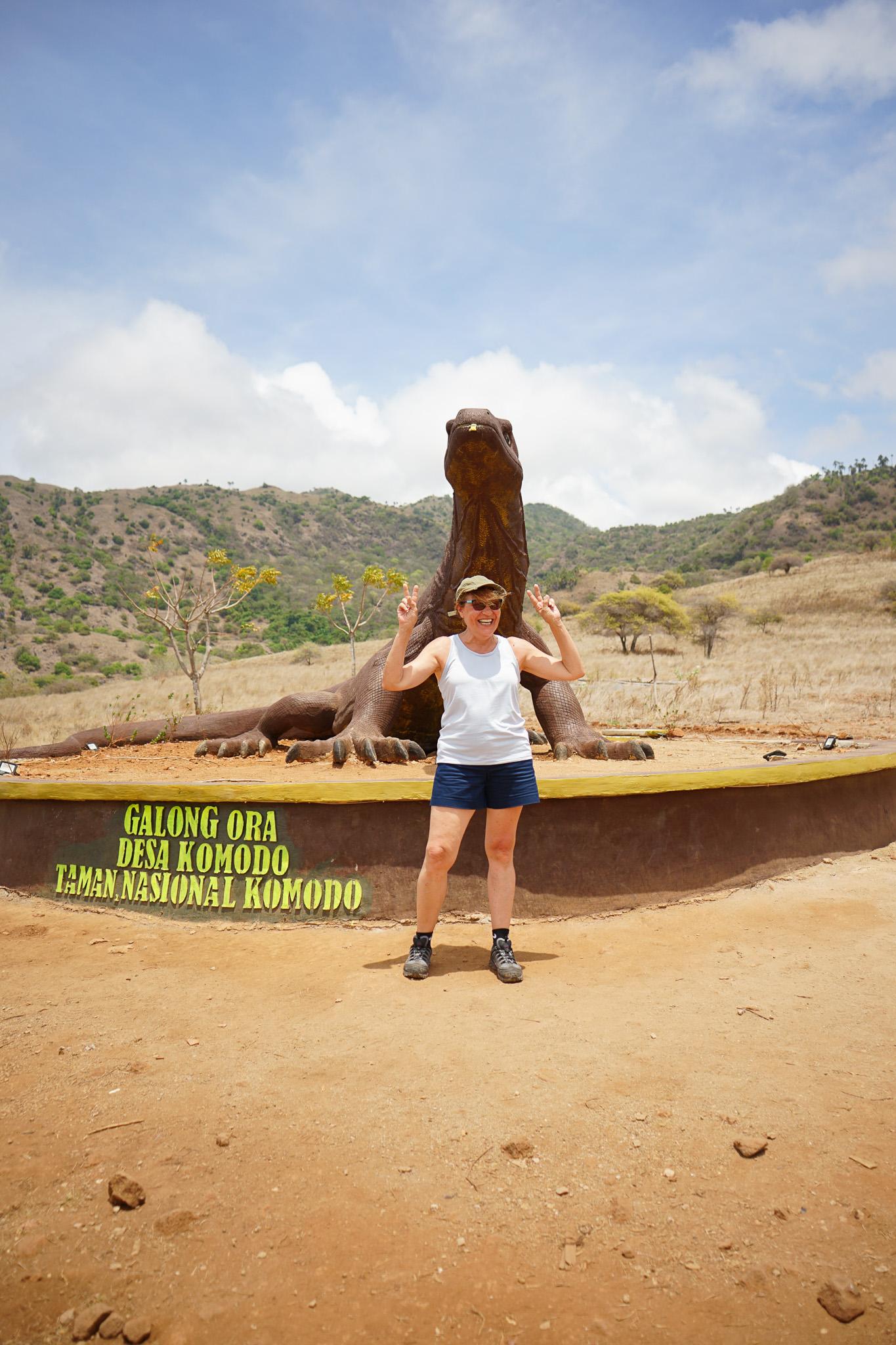 Komodo Islands 3-Day VIP Liveaboard from Labuan Bajo