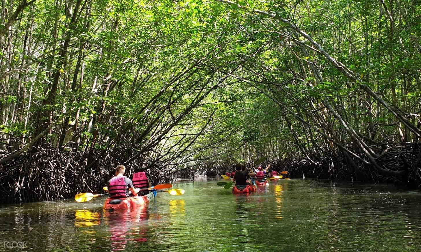 Ko Lanta Mangrove Kayaking with Village Visit