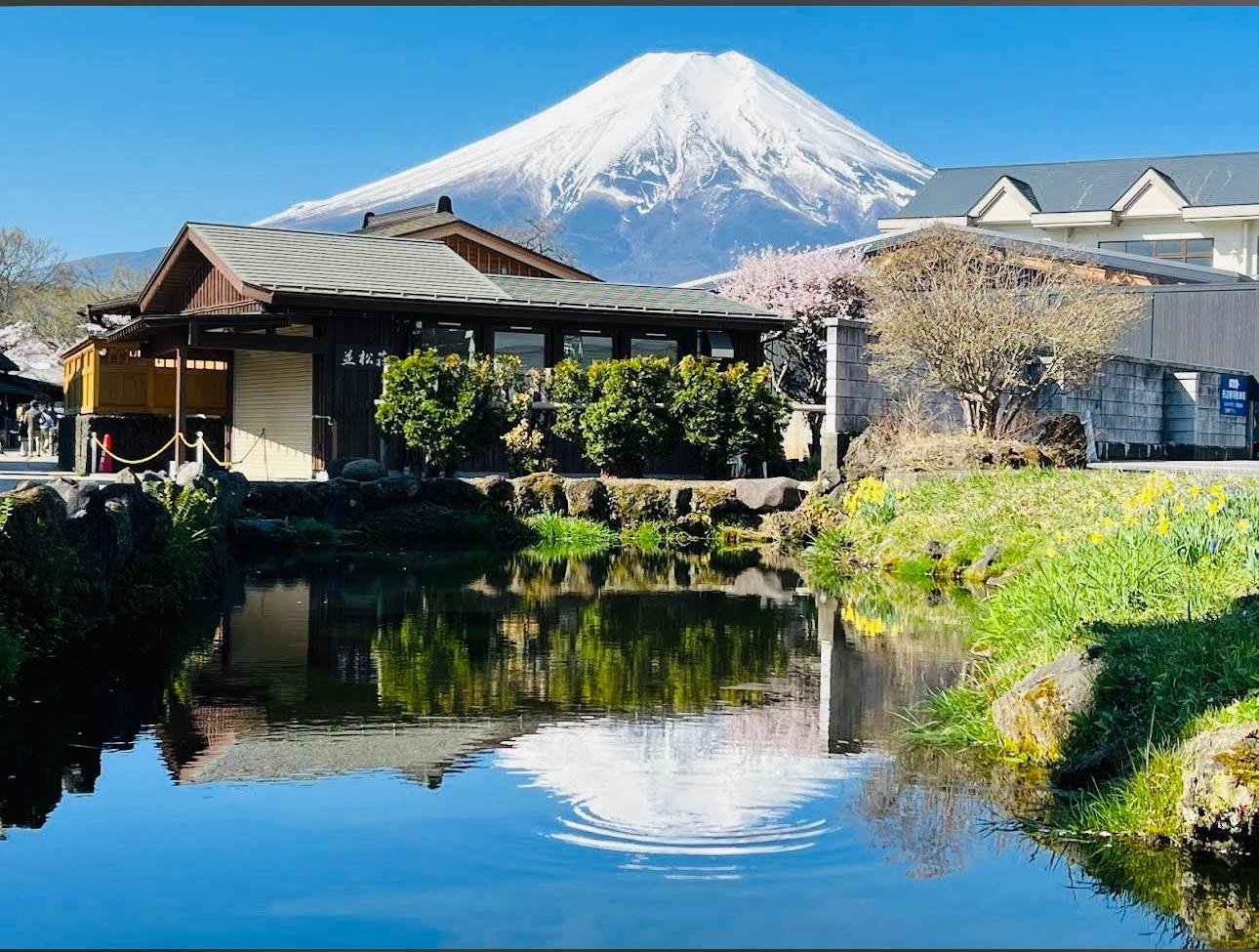 Tokyo to Mt. Fuji Private Luxury Day Tour with Hotel Pickup