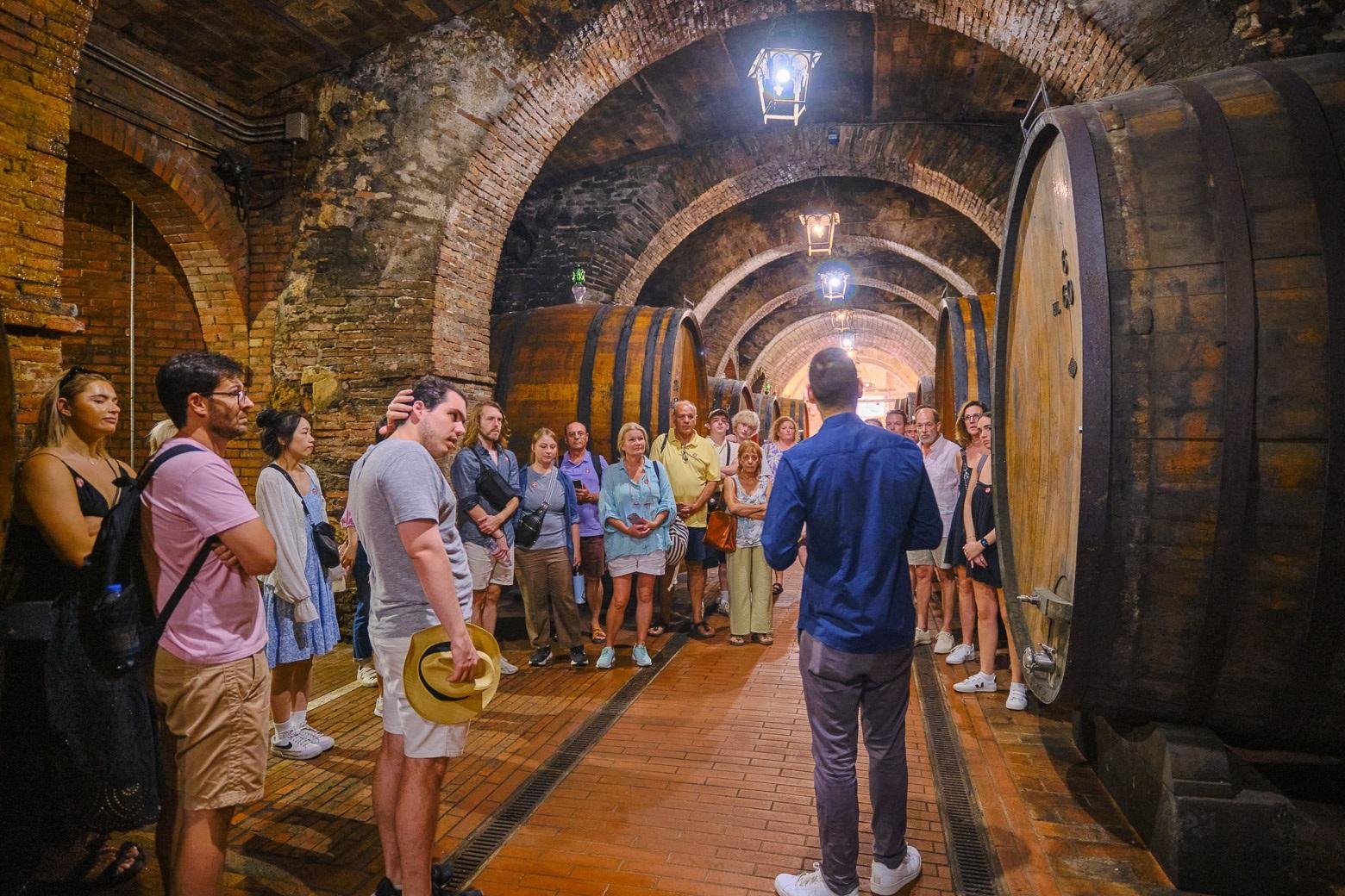 wine tour in Montalcino — photo 12