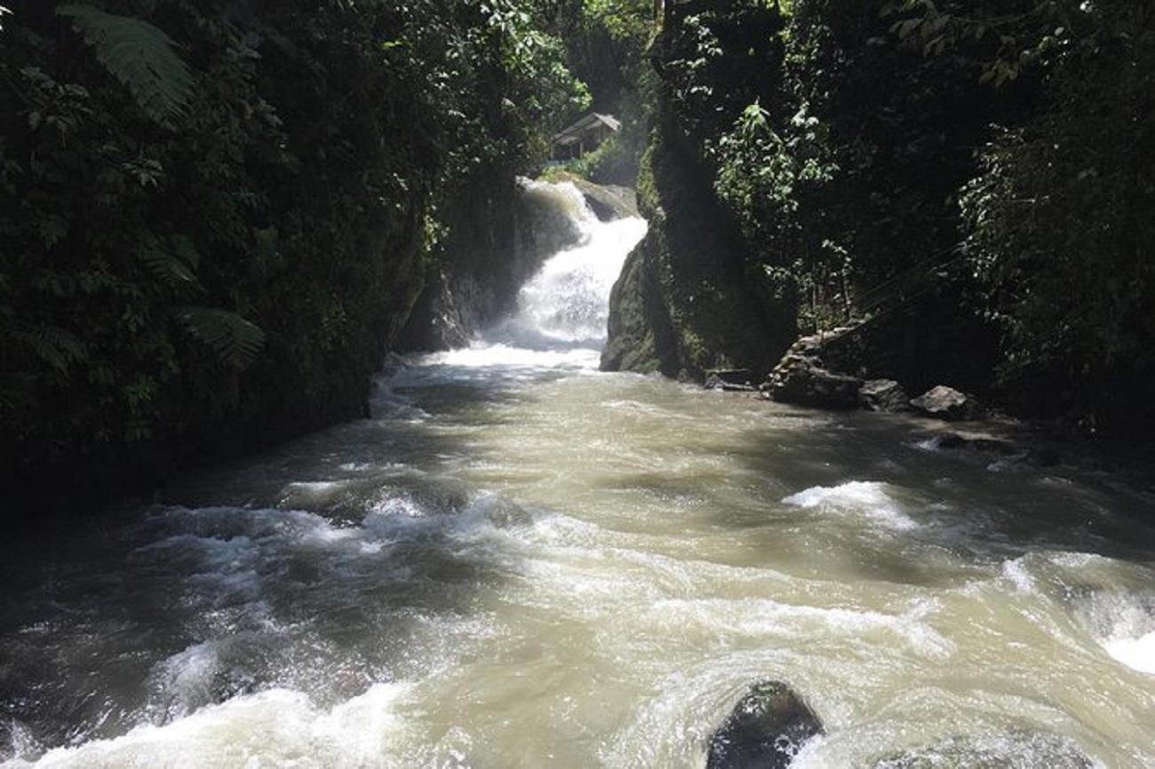 Mindo Cloud Forest & Waterfalls Private Day Trip