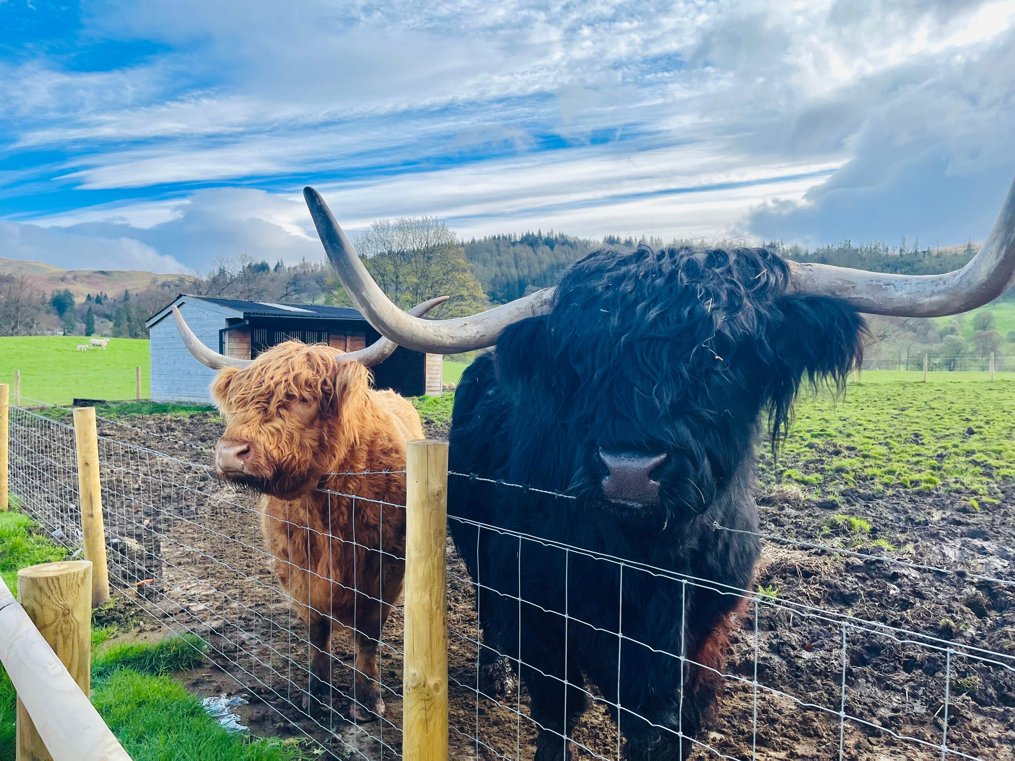 Edinburgh: Loch Ness, Glencoe & The Highlands