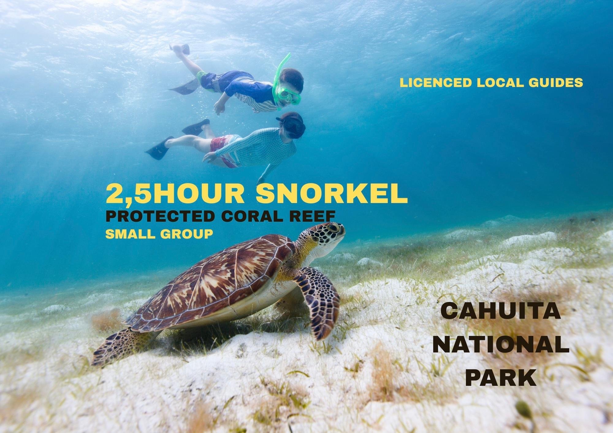 Caribbean Reef Snorkeling at Cahuita National Park