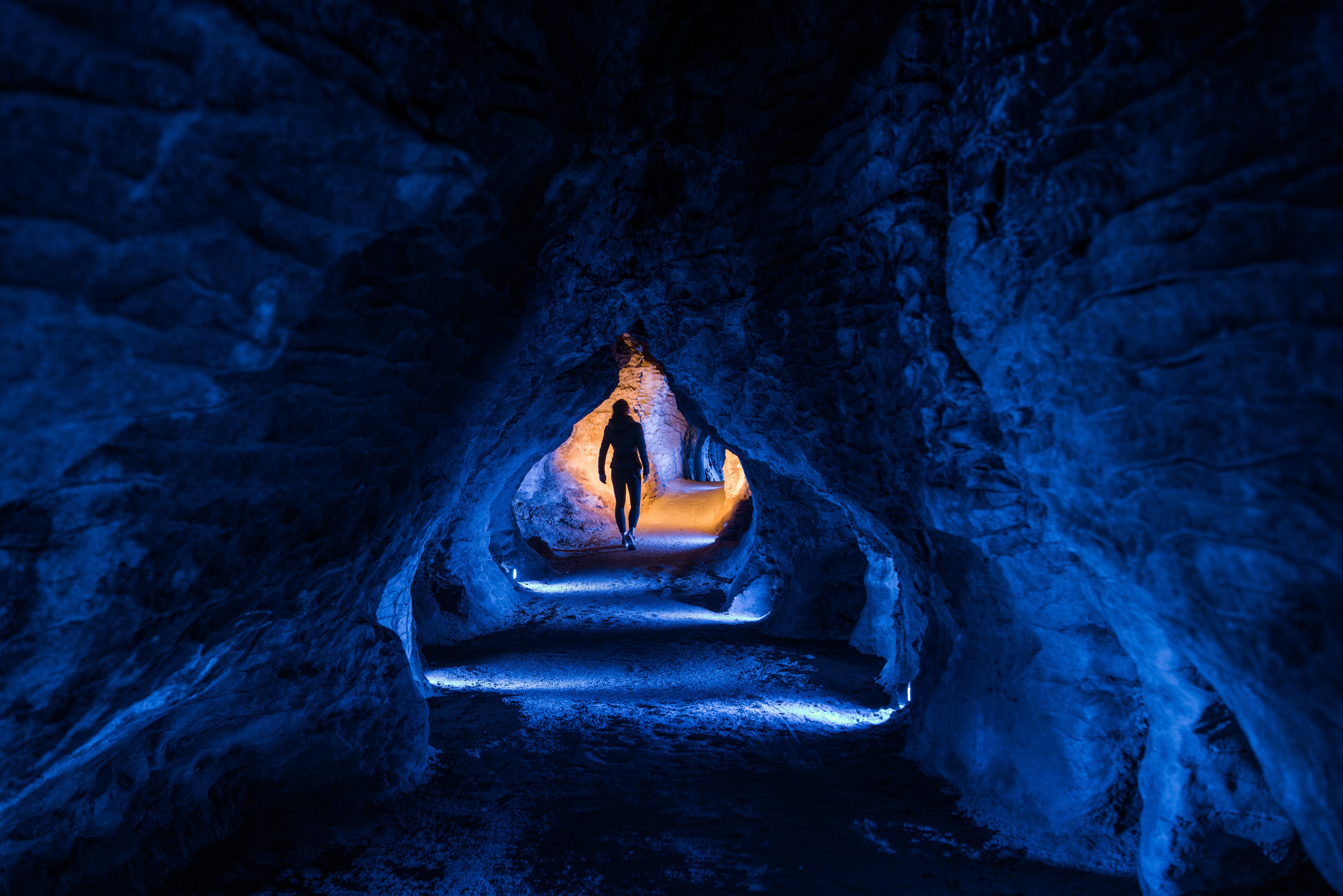 Waitomo Caves & Blue Springs Day Tour from Auckland