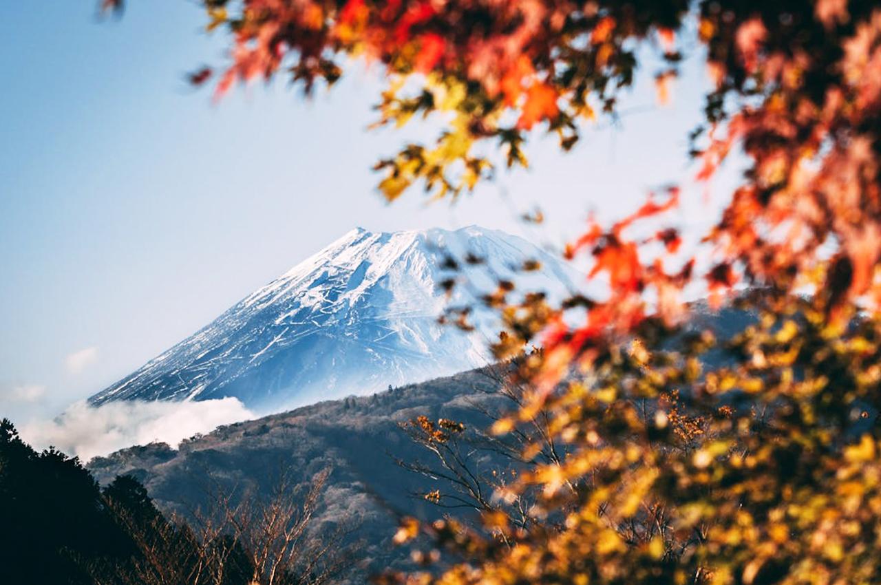 Mt. Fuji Scenic Highlights & Lake Kawaguchi Day Trip from Tokyo