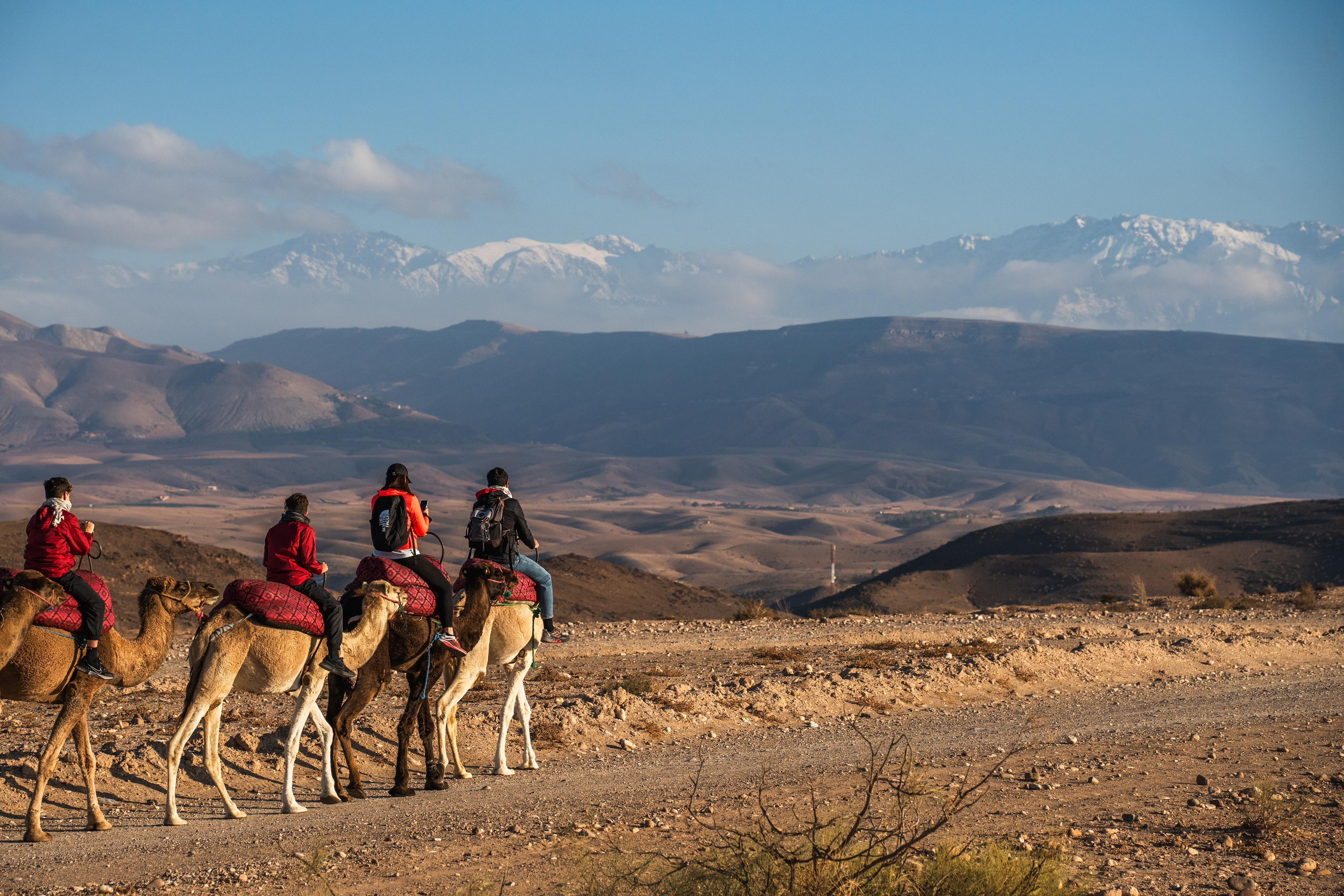 Agafay Desert Sunset, Camel Ride & Berber Dinner Show from Marrakech