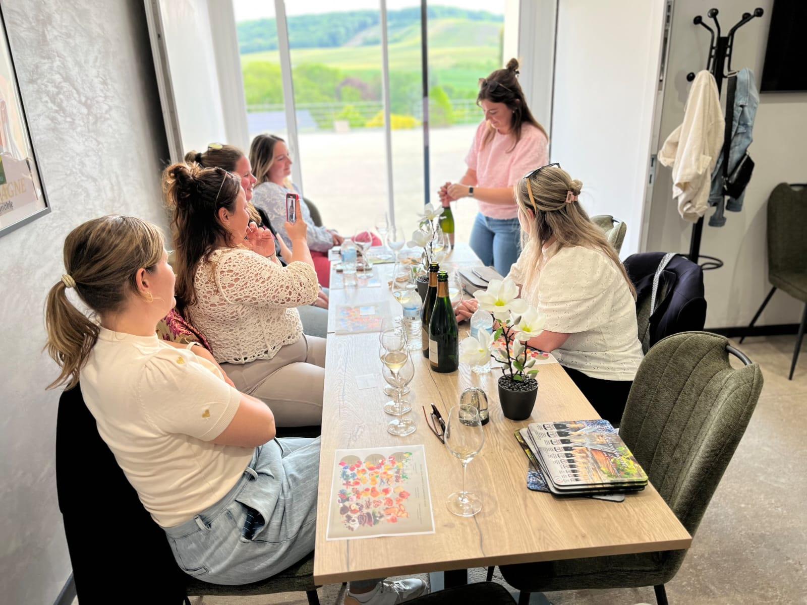 From Epernay: Champagne Day Trip with Tastings