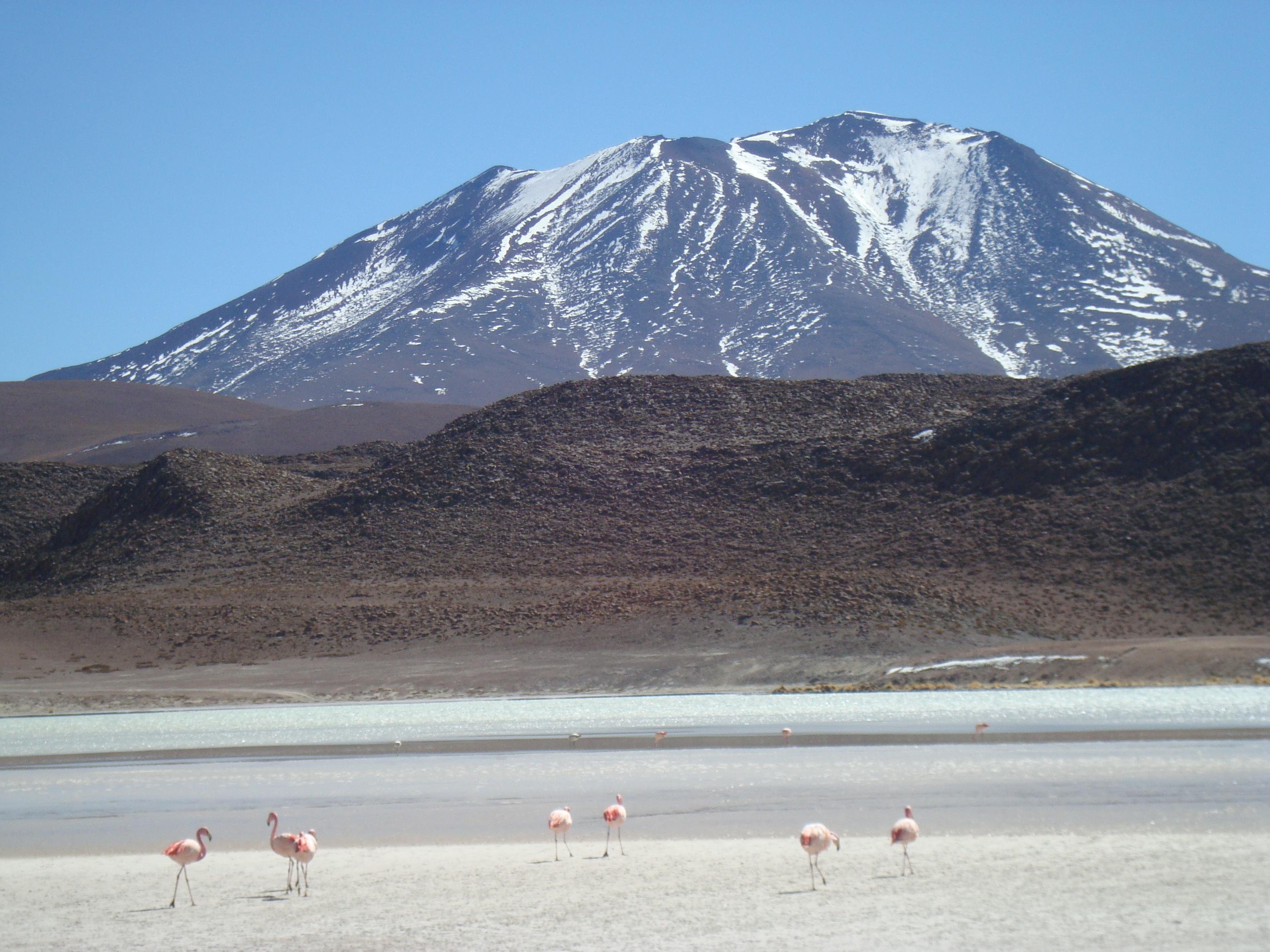 Uyuni Salt Flats Adventure from San Pedro de Atacama