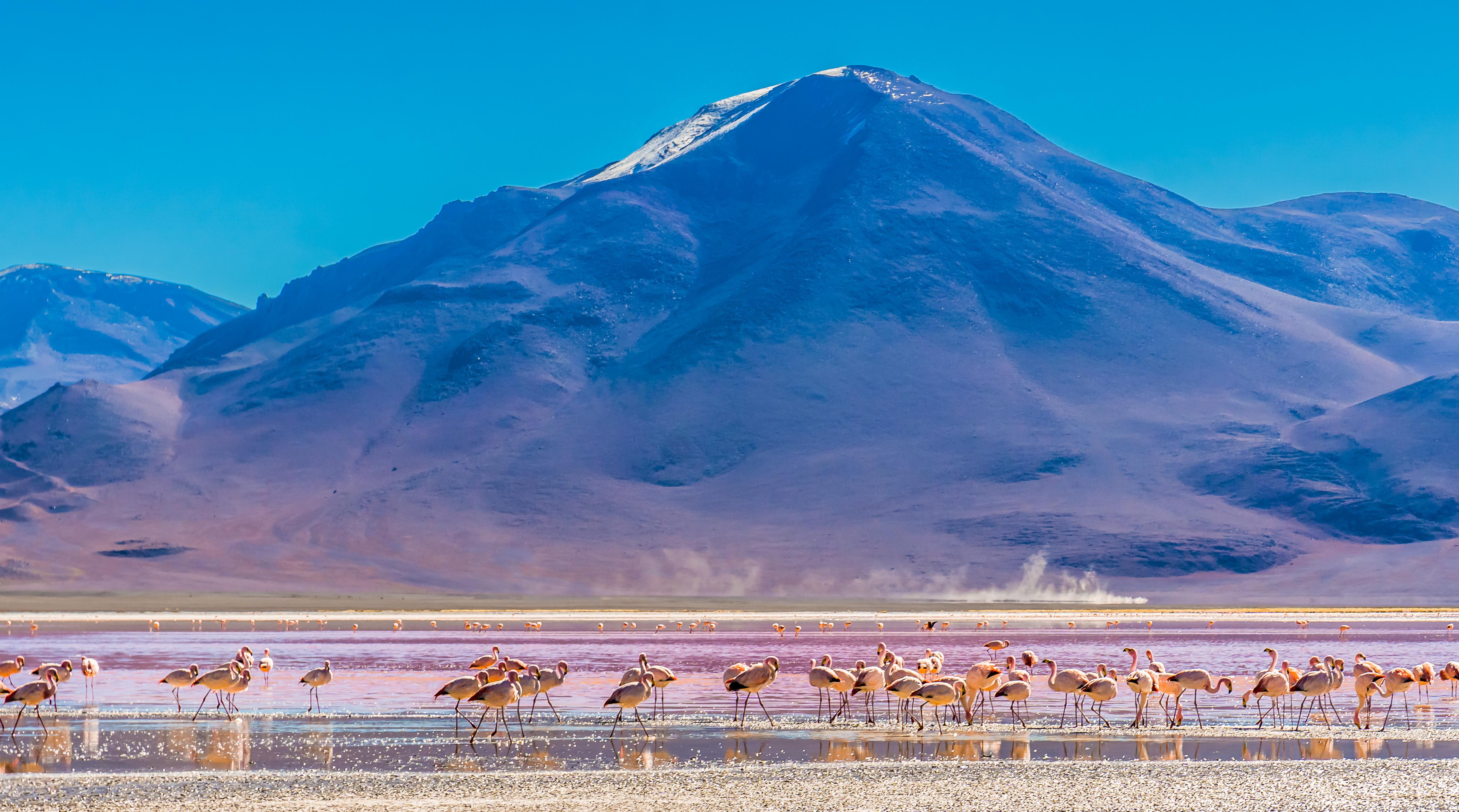 3-Day Uyuni Salt Flats Expedition: Adventure to San Pedro de Atacama