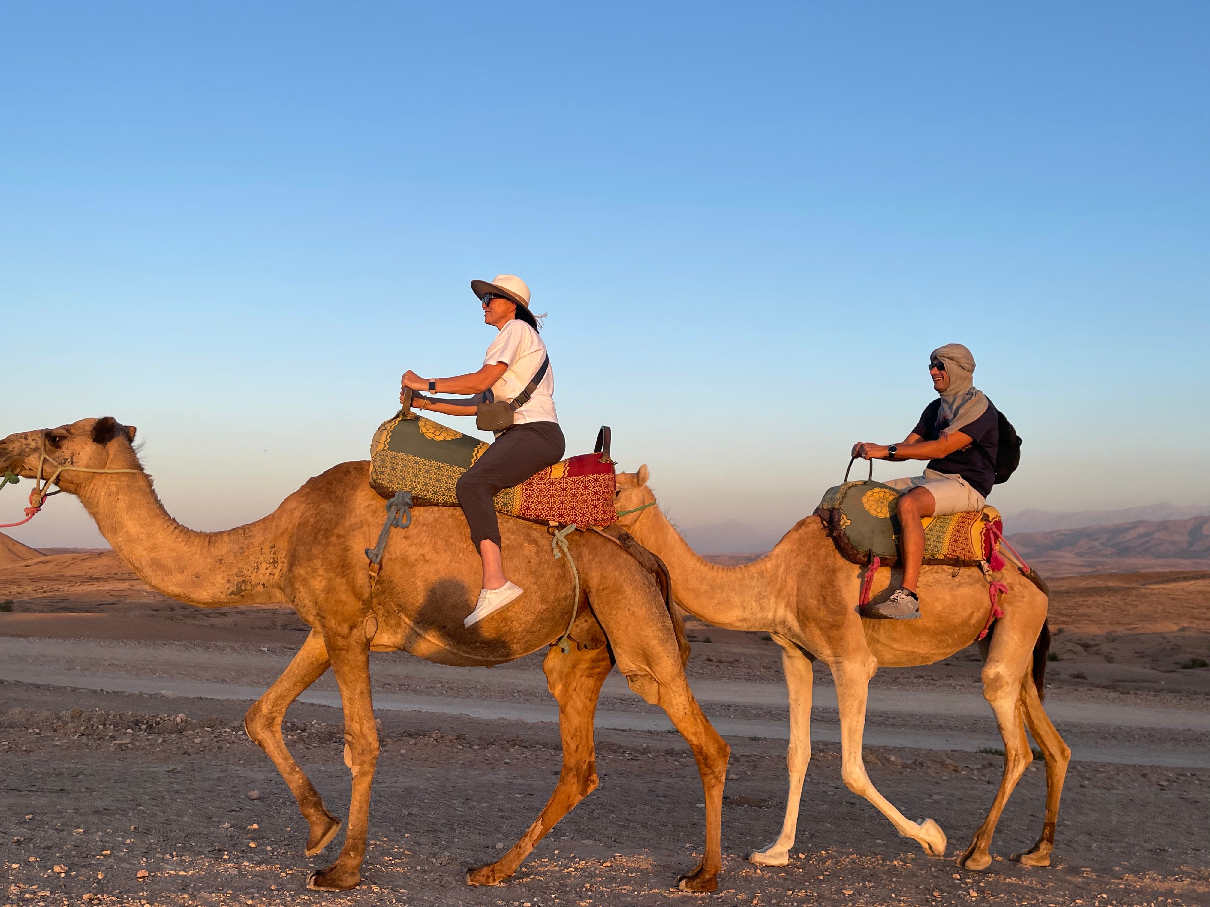 Agafay Desert Adventure: Quad Biking, Camel Ride & Berber Dinner Show