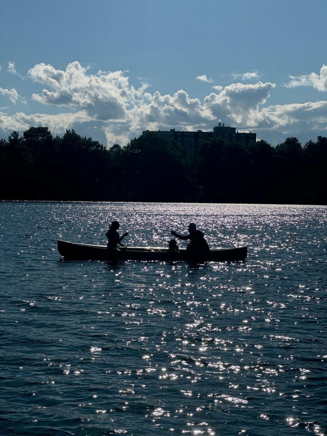 Charles River Canoe Adventure in Newton
