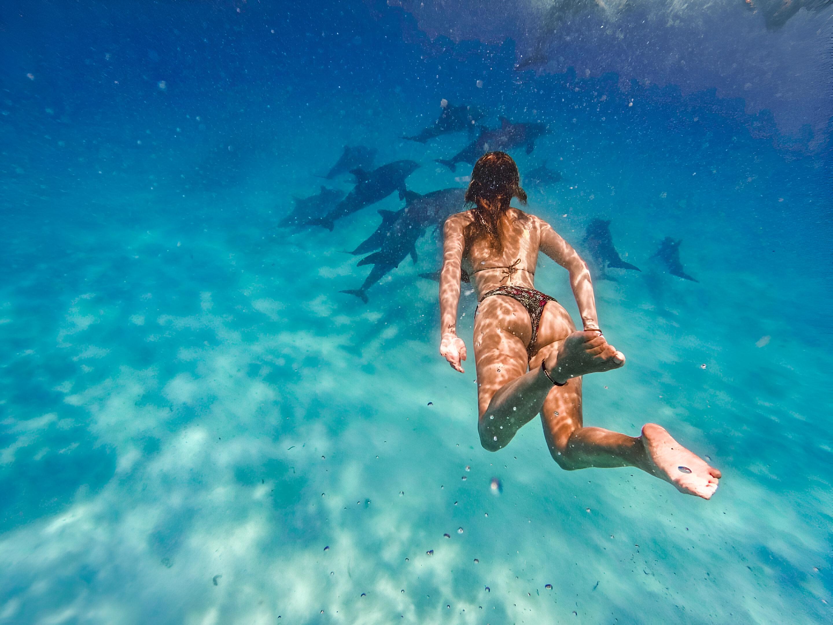 Mnemba Island Dolphin Swim & Snorkeling Adventure