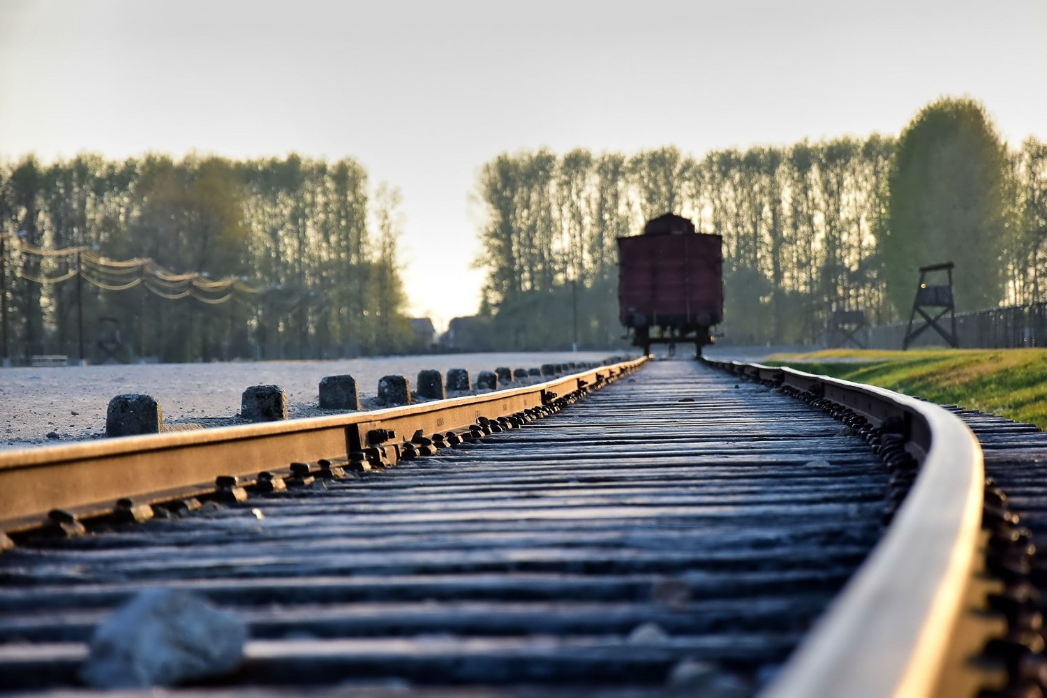 Auschwitz-Birkenau & Wieliczka Salt Mine Full-Day Tour