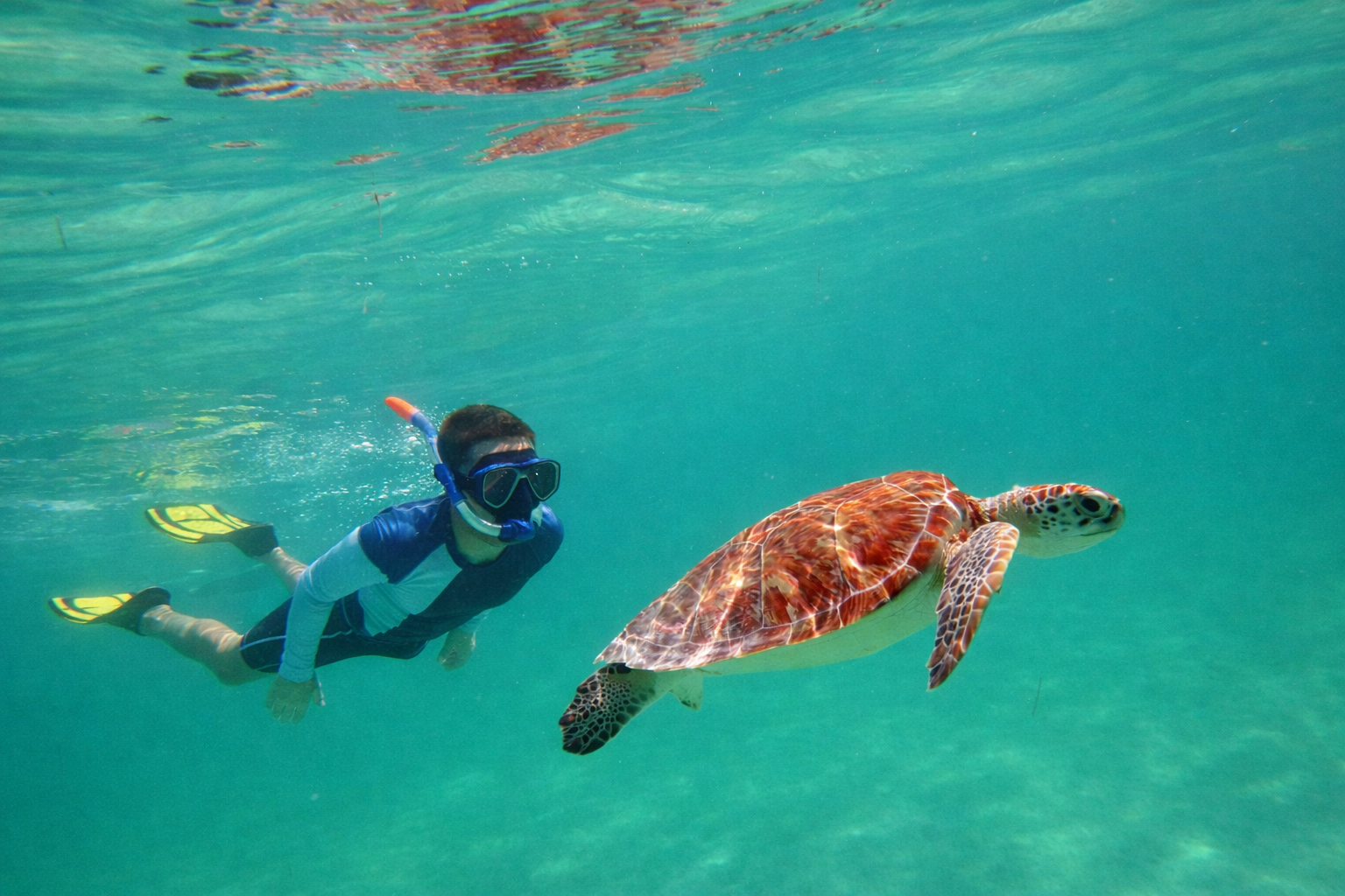 Muscat: Daymaniyat Islands Private Snorkel & Kayak Tour - 2026 (Verified Reviews)