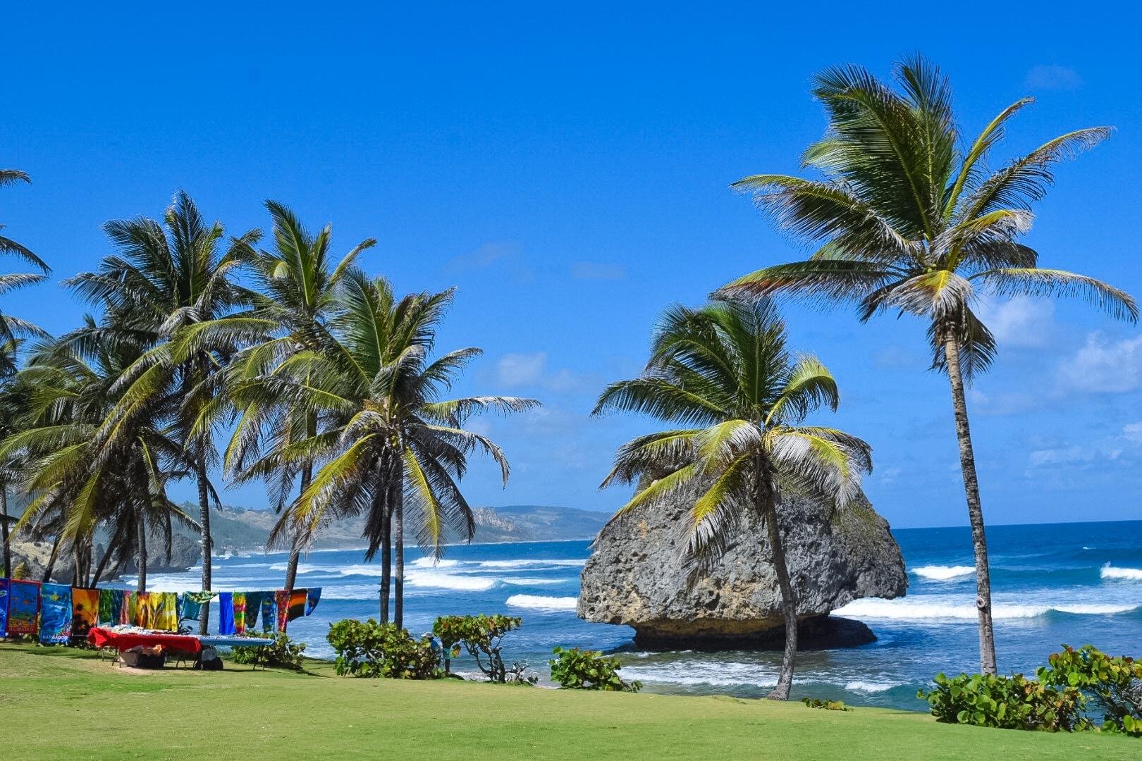 Barbados Island Discovery & Mount Gay Rum Experience
