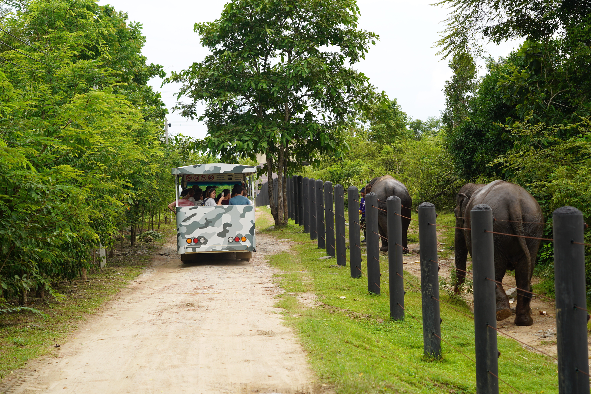 WFFT Wildlife Rescue Centre Full-Day Tour with Lunch