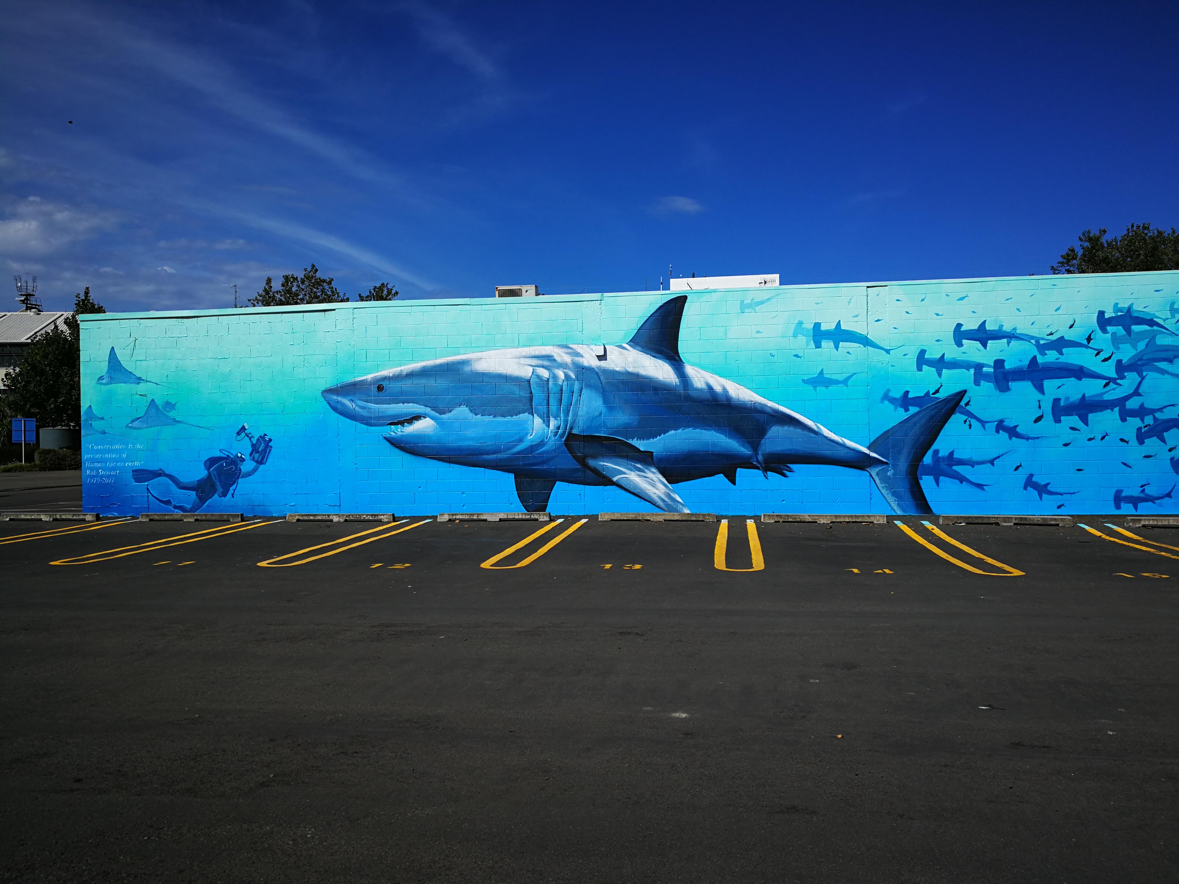 Napier Shore Excursion: Art Deco City & Wine Experience