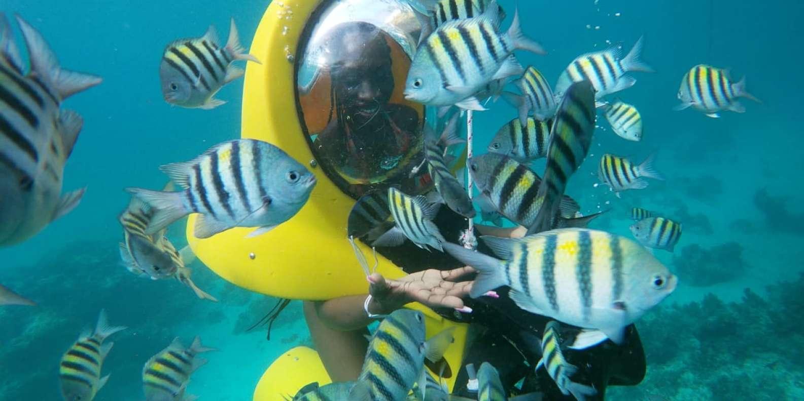 Scubadoo Underwater Diving Experience